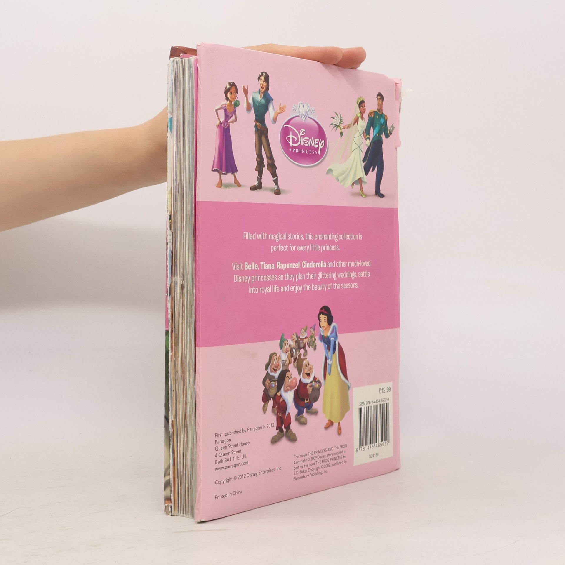 Katrina Hanford Disney Mega Treasury - Enchanting Magical Stories