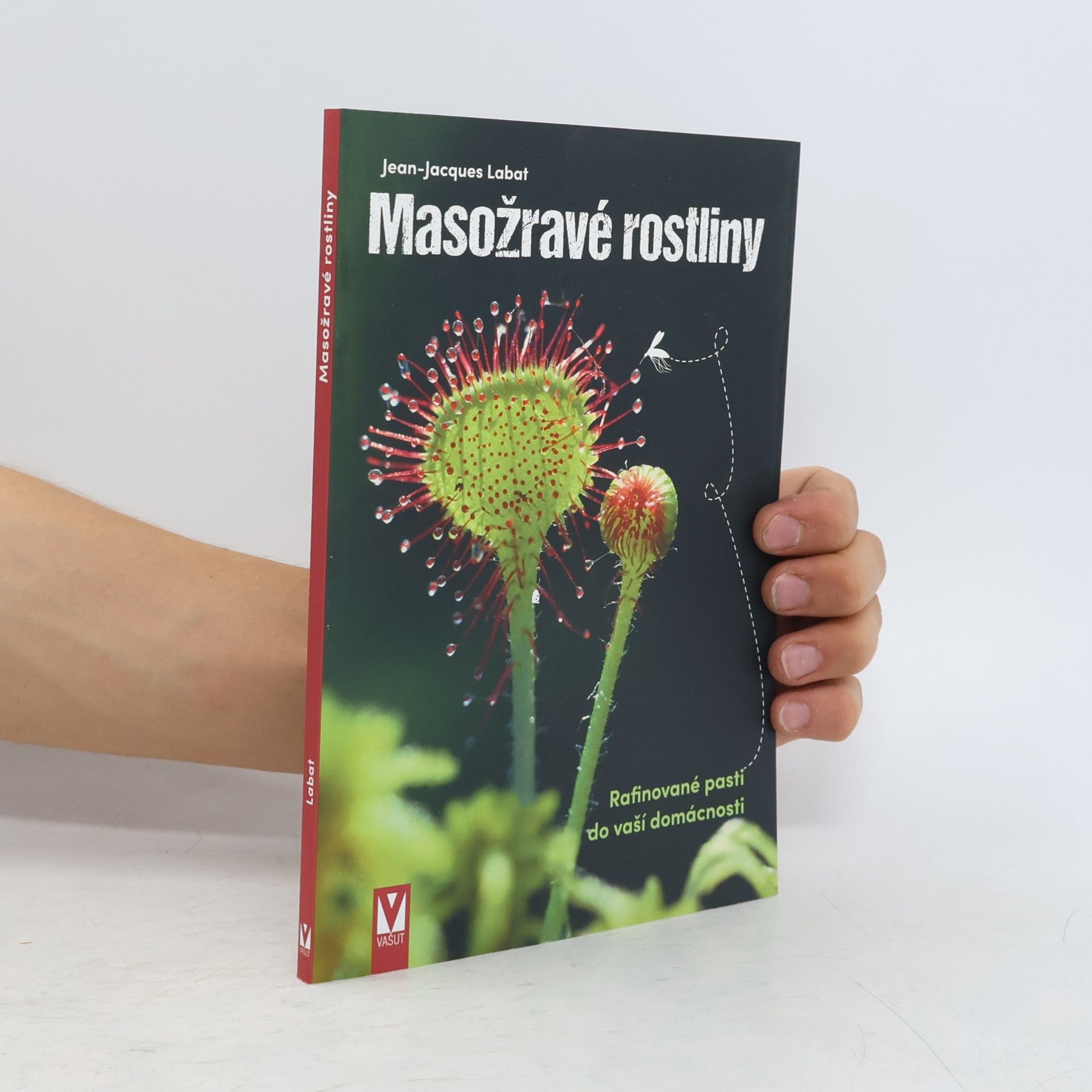Jean-Jacques Wendorff Masožravé rostliny