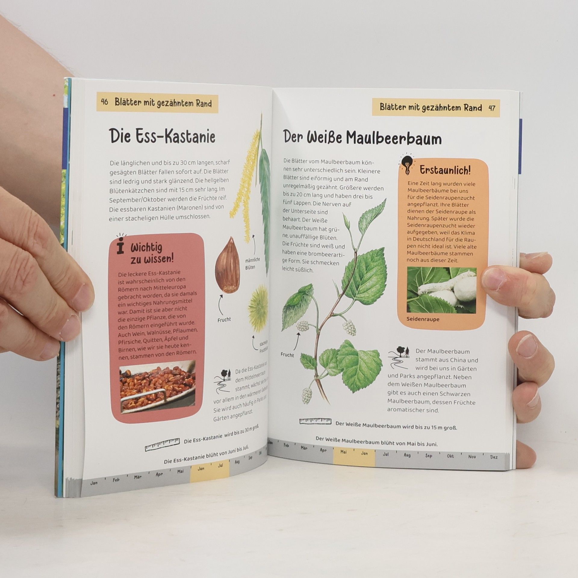 Holger Haag Welcher Baum ist das? Kindernaturführer