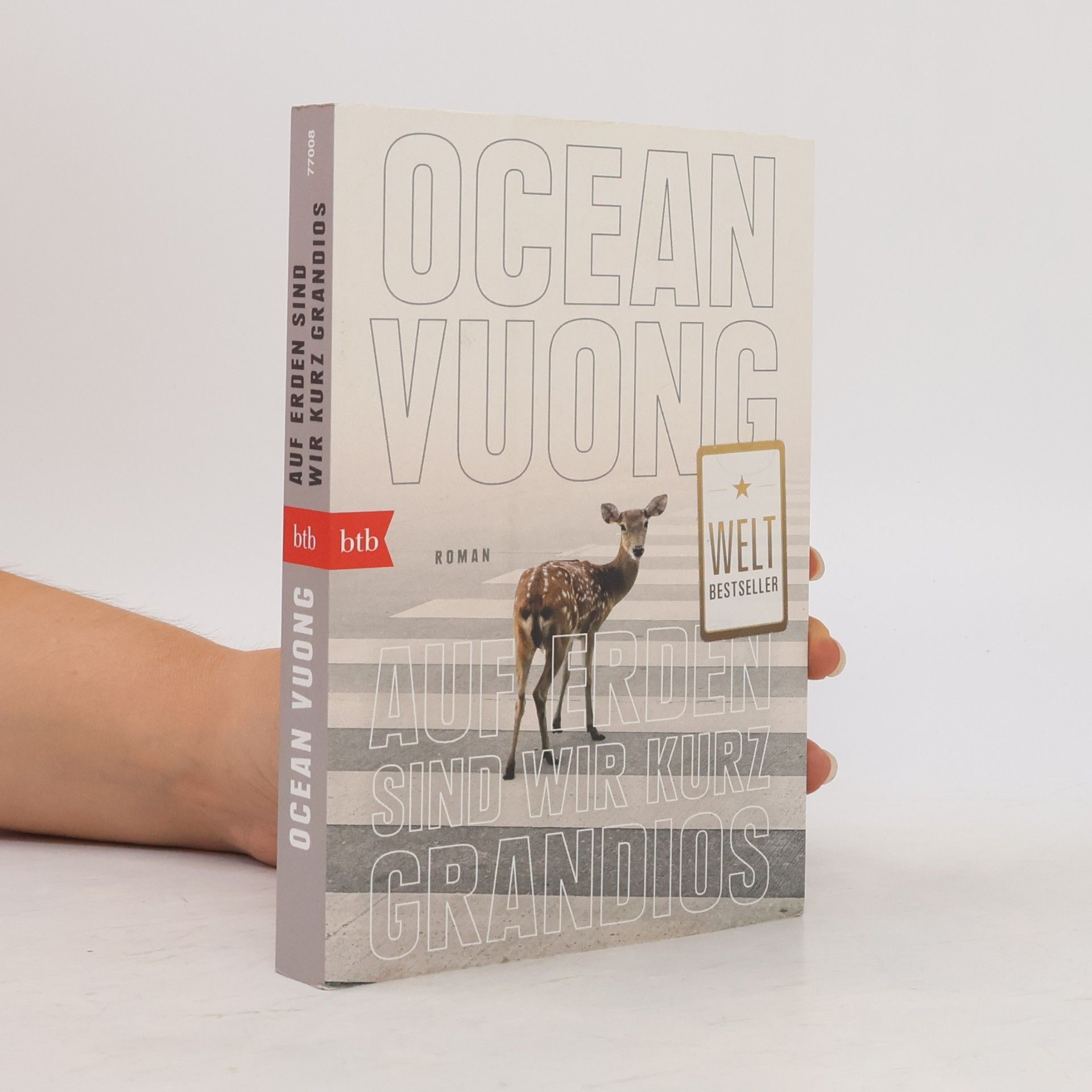 Ocean Vuong Auf Erden sind wir kurz grandios
