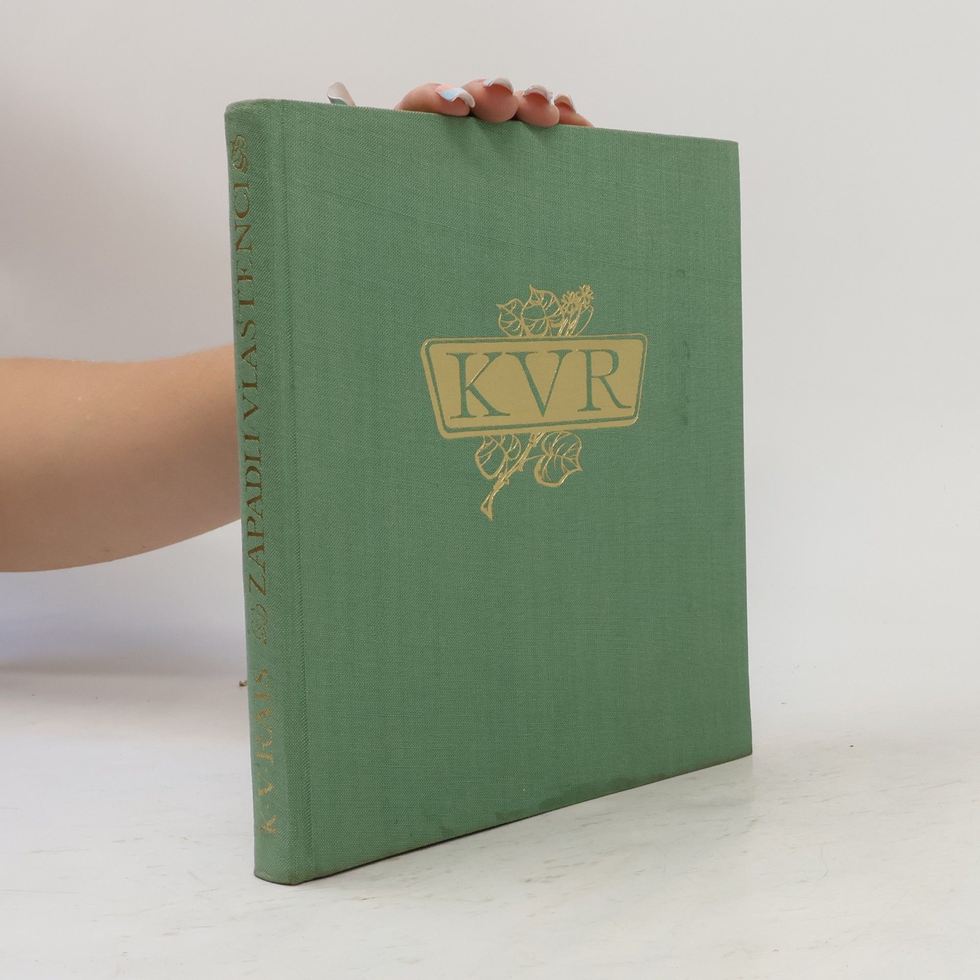 Karel Václav Rais Zapadlí vlastenci