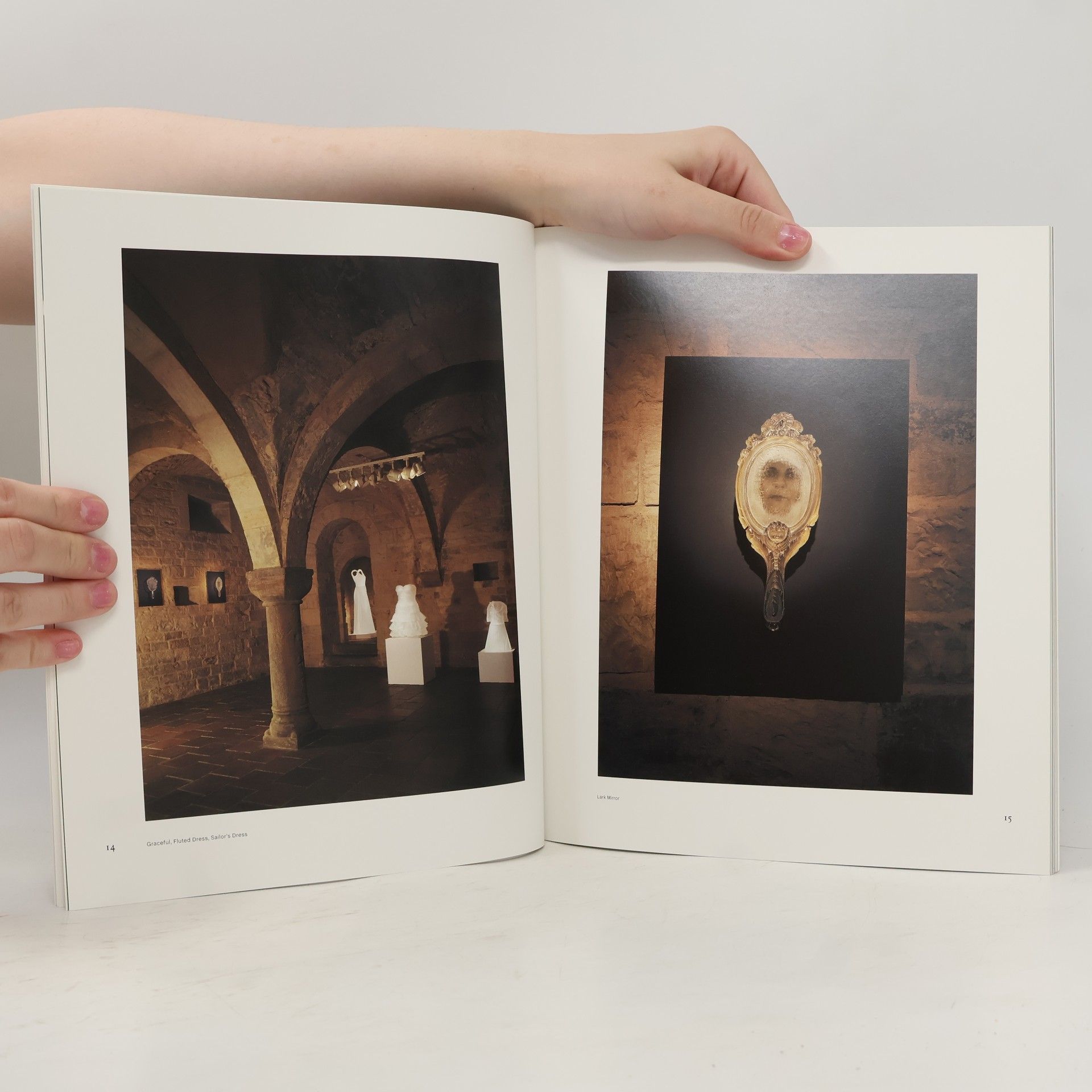 Kolektiv autorů Karen LaMonte: Vanitas