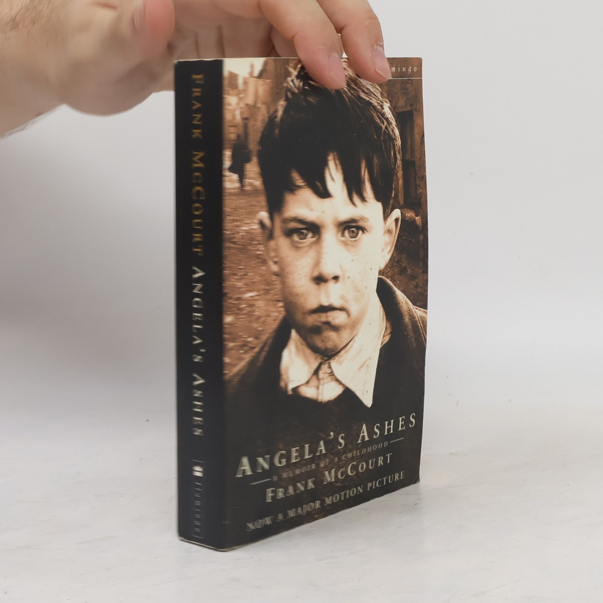Frank McCourt Angela's Ashes