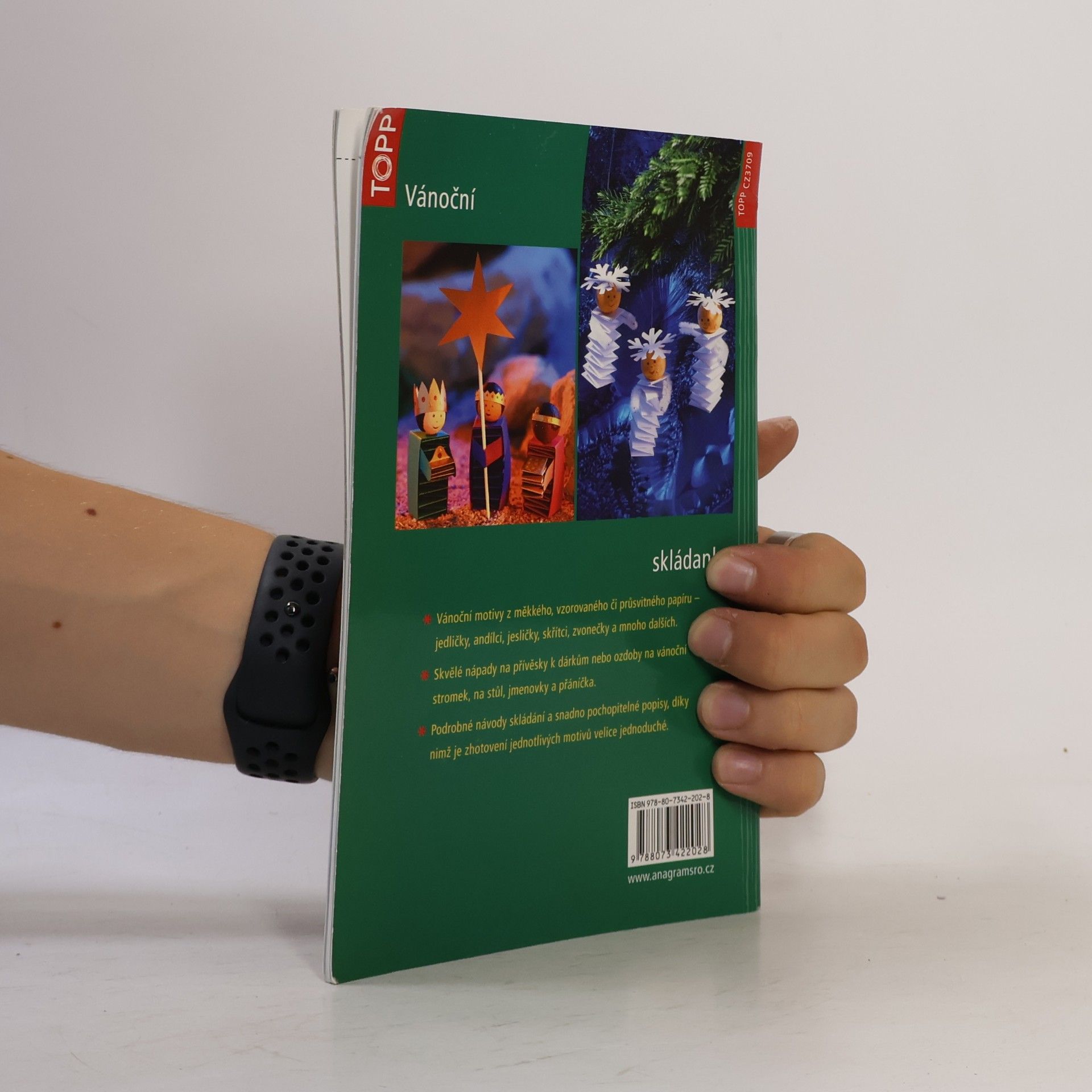 Armin Täubner Vánoční skládanky: origami hvězdy, skřítci, zvířátka, andílci