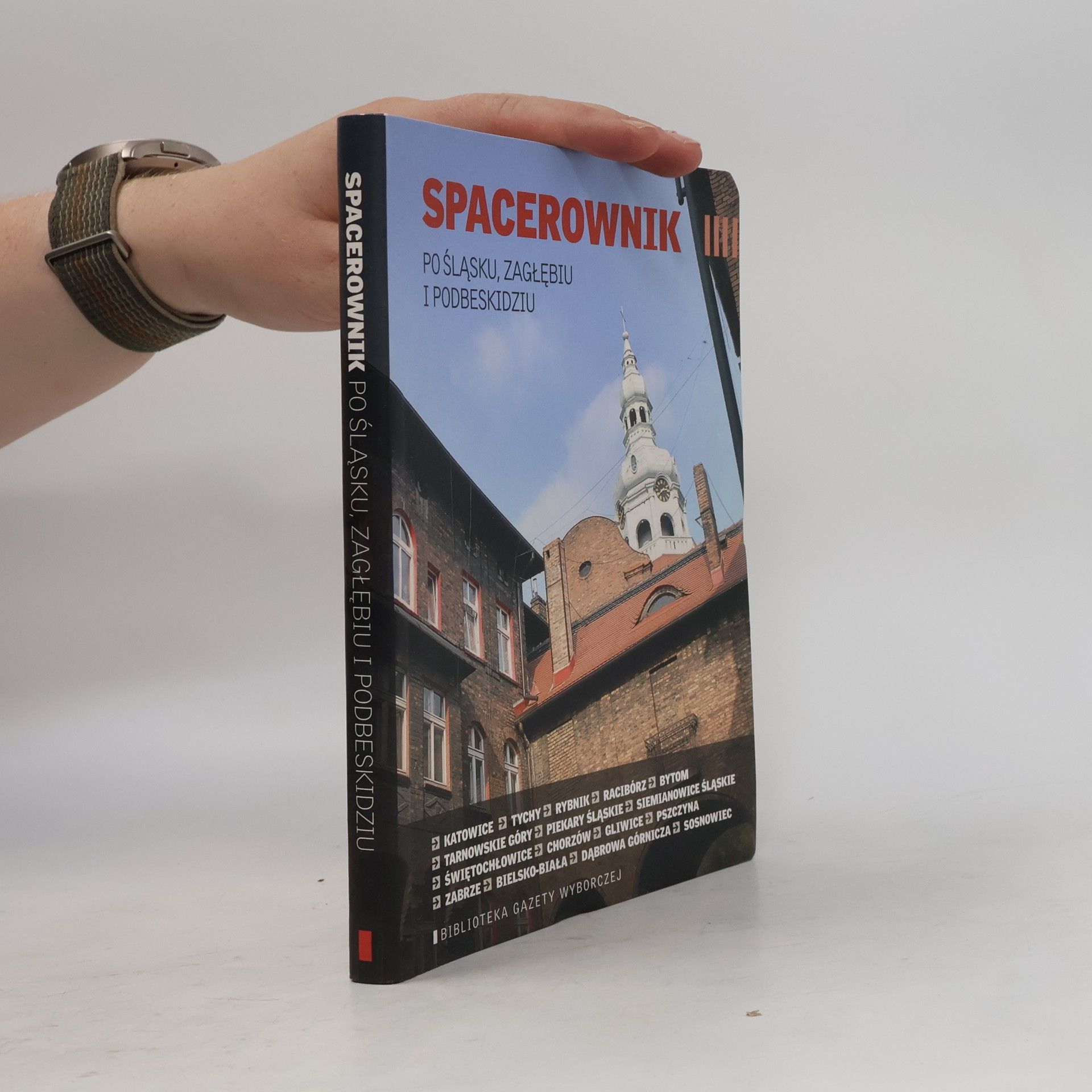 Beata Żurek Spacerownik po Śląsku, Zagłębiu i Podbeskidziu