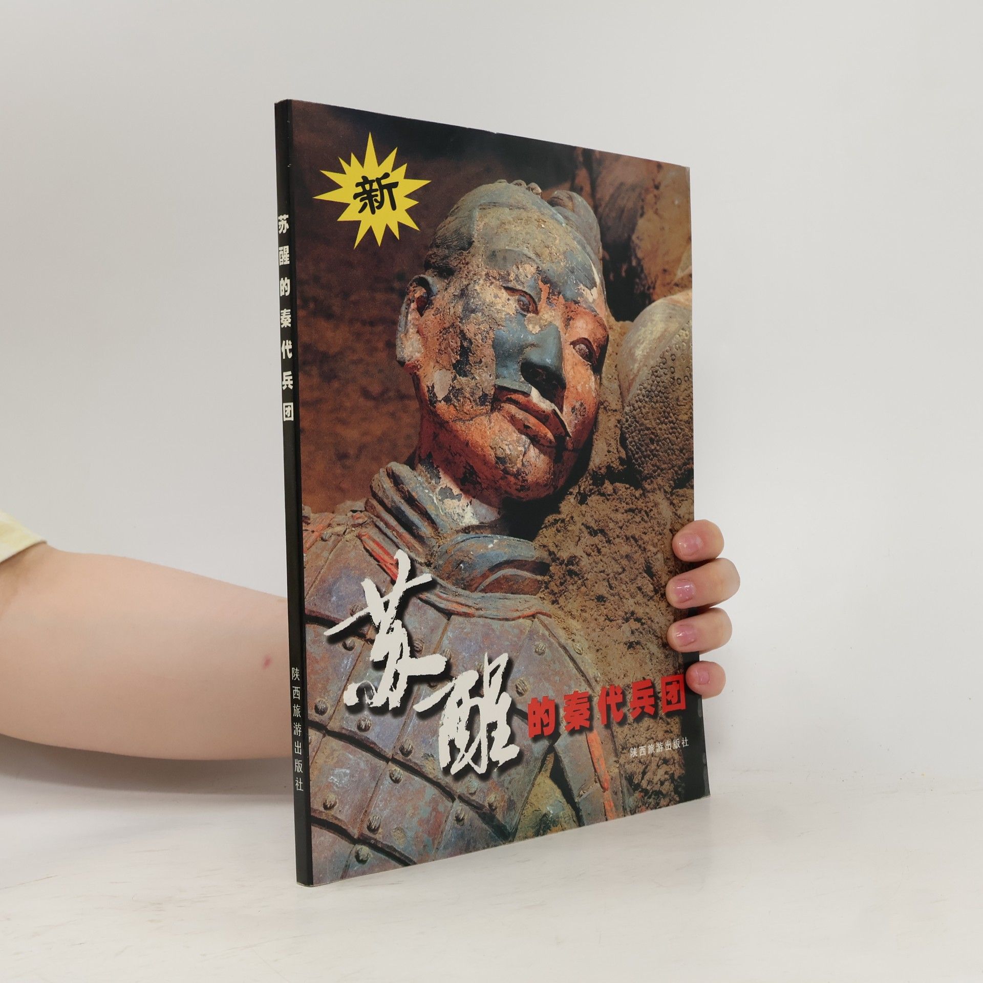 Meng Jianmin Die wiedererwachte Terrakotta-Armee der Qin-Dynastie