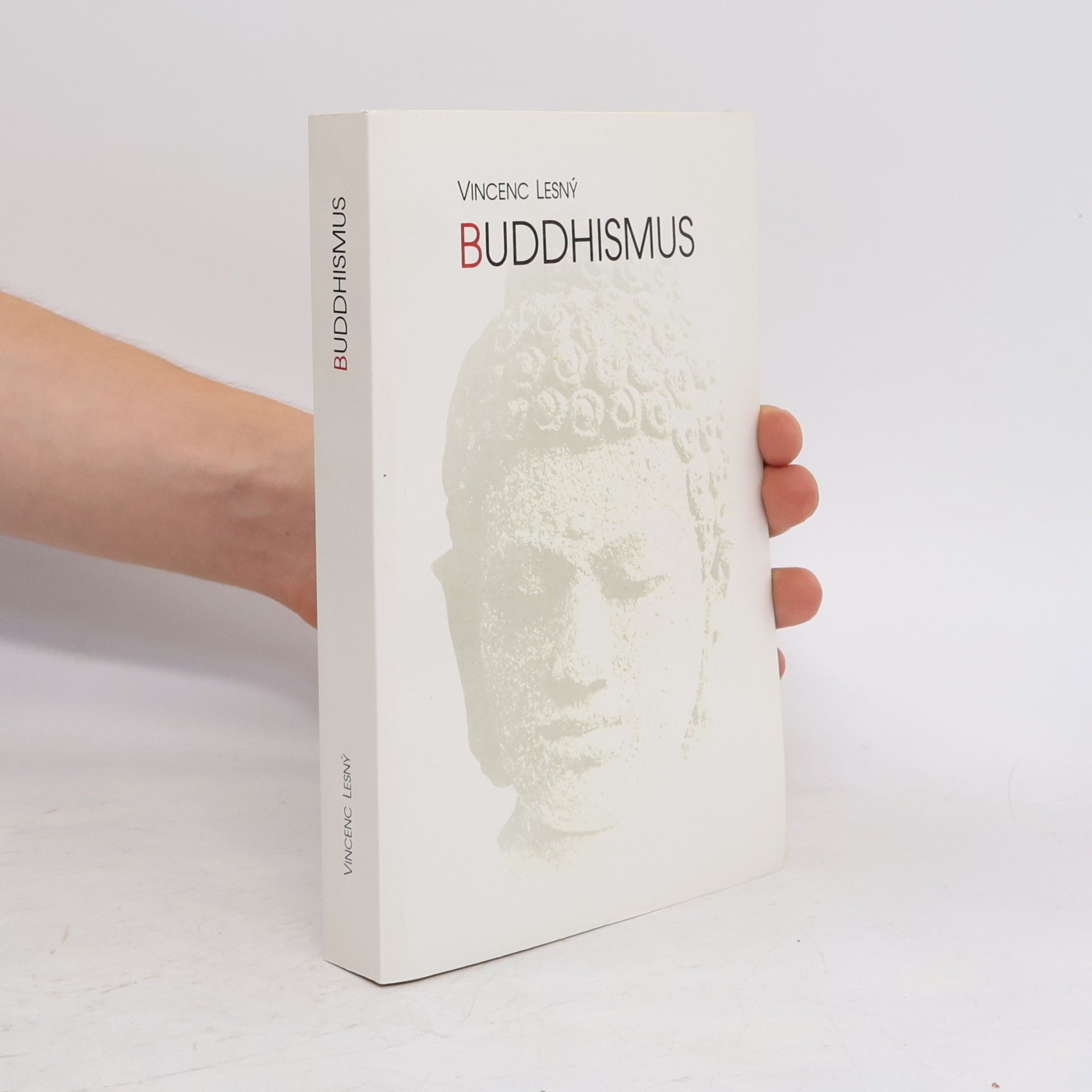 Vincenc Lesný Buddhismus