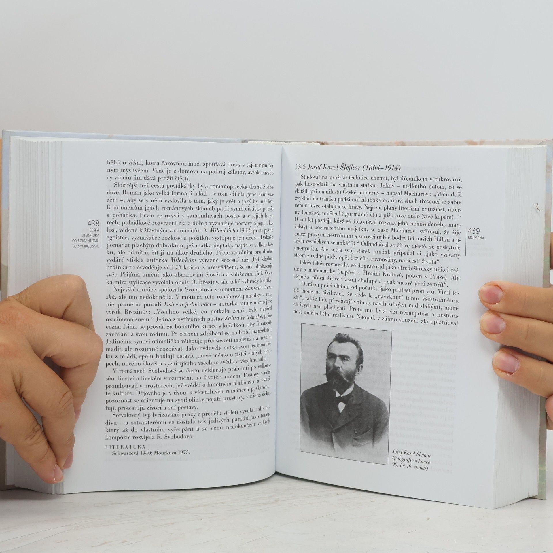 Jan Lehár Česká literatura od počátků k dnešku