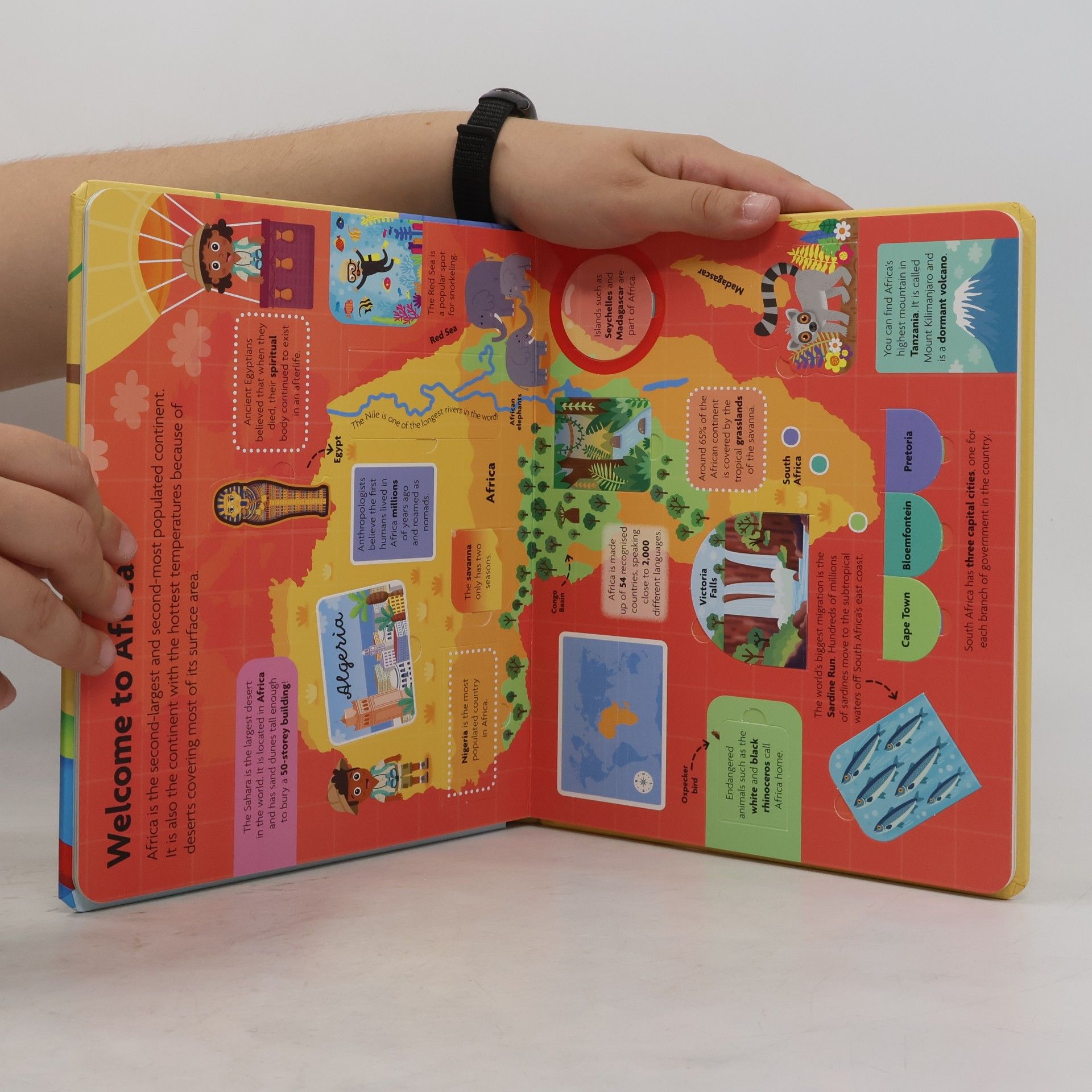 My First Picture Atlas: Discover Fun Facts as You Lift over 50 Flaps
