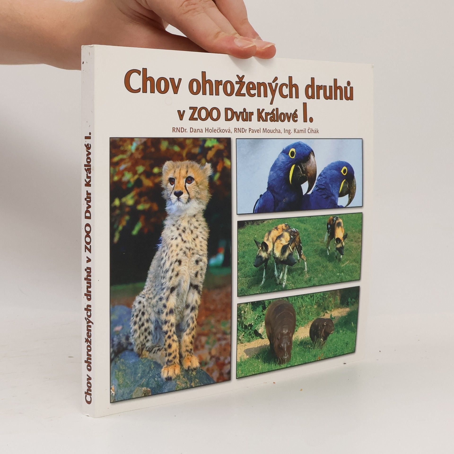 Kolektiv autorů Chov ohrožených druhů v ZOO Dvůr Králové I.