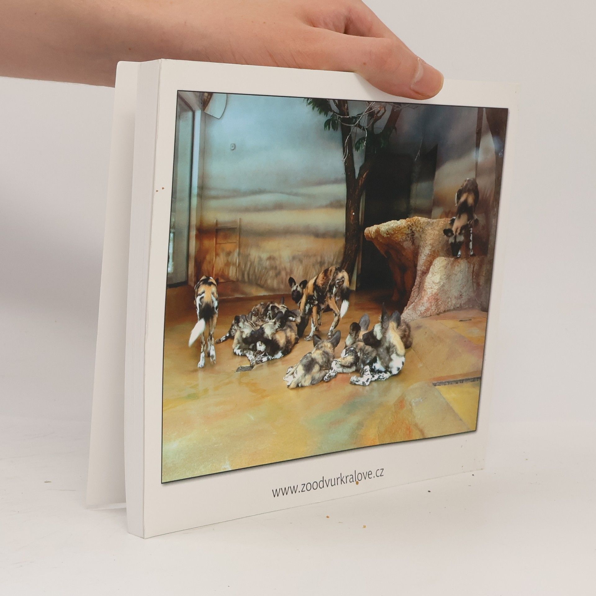 Kolektiv autorů Chov ohrožených druhů v ZOO Dvůr Králové I.