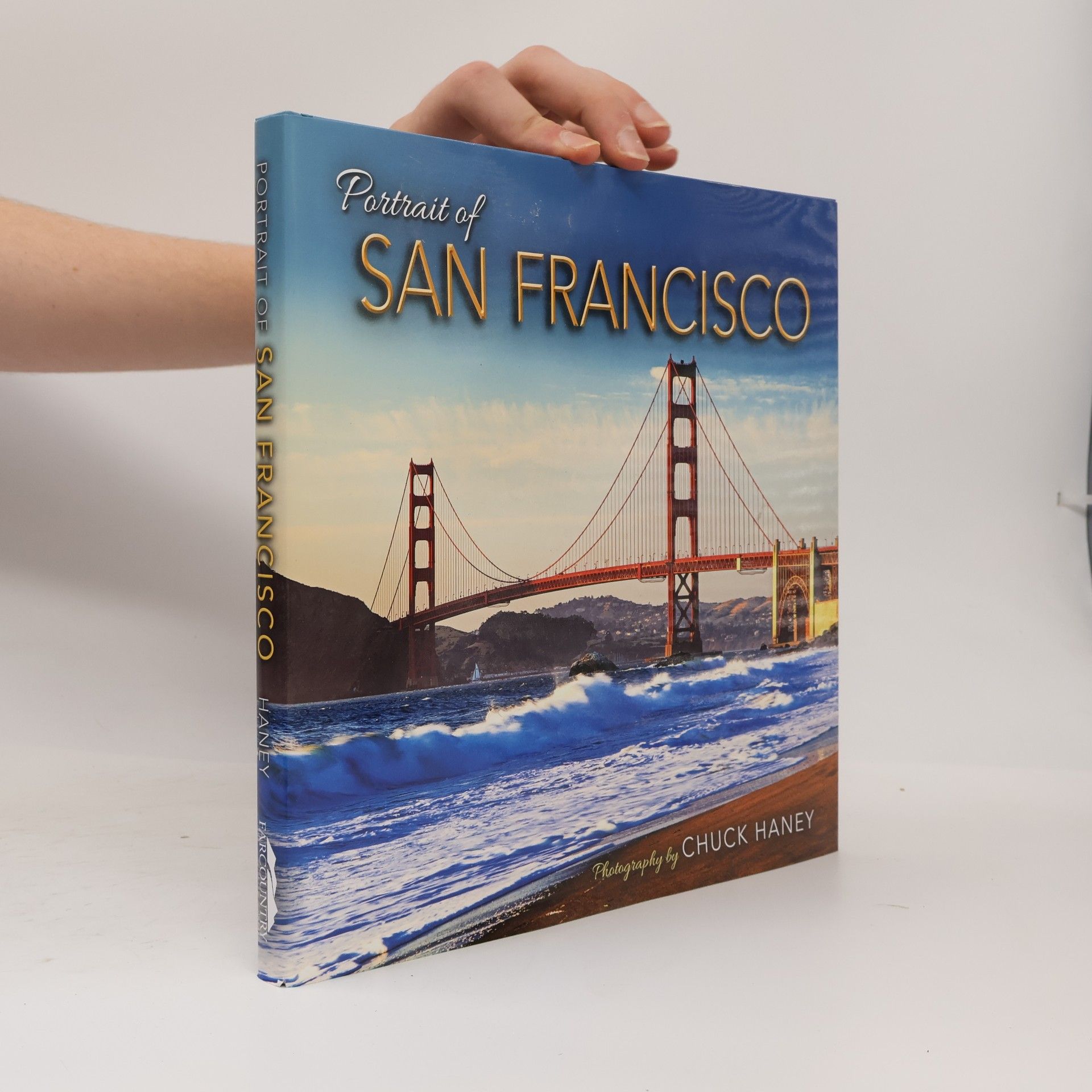 Chuck Haney Portrait of San Francisco