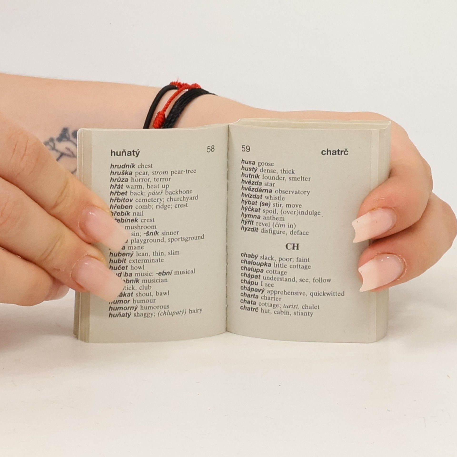 Various authors Česko-anglický slovník