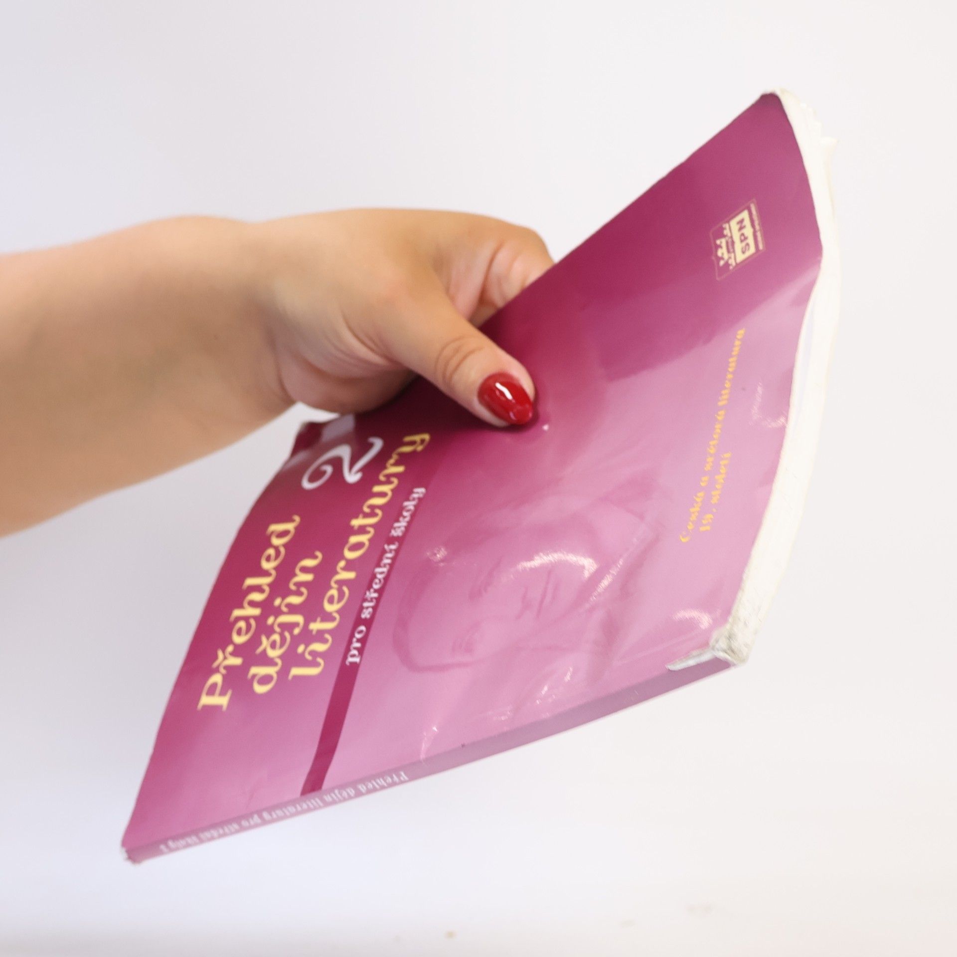 Josef Soukal Přehled dějin literatury pro střední školy 2. Česká a světová literatura 19. století