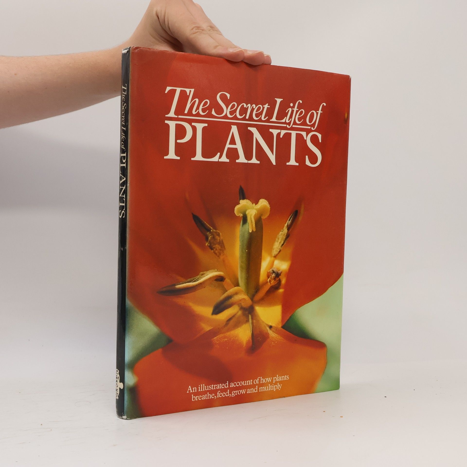 Gillian Beckett The Secret Life of Plants