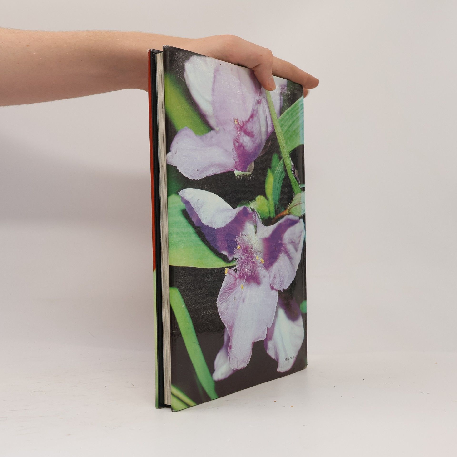Gillian Beckett The Secret Life of Plants