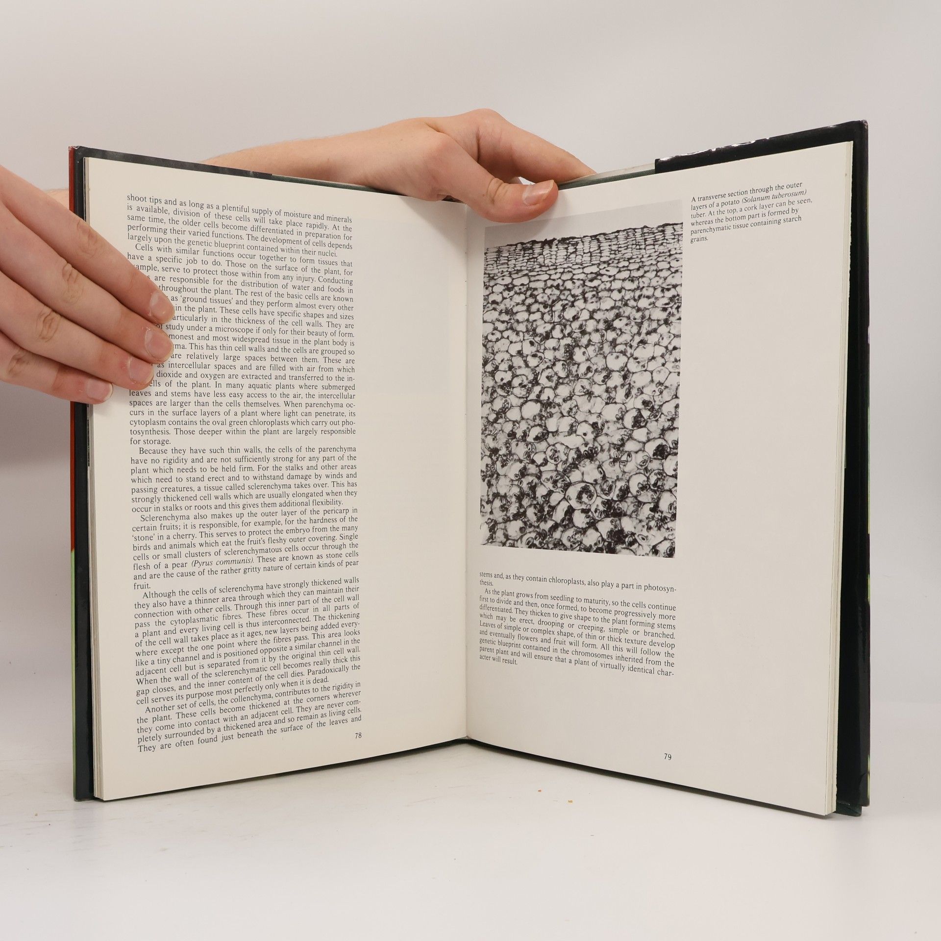 Gillian Beckett The Secret Life of Plants