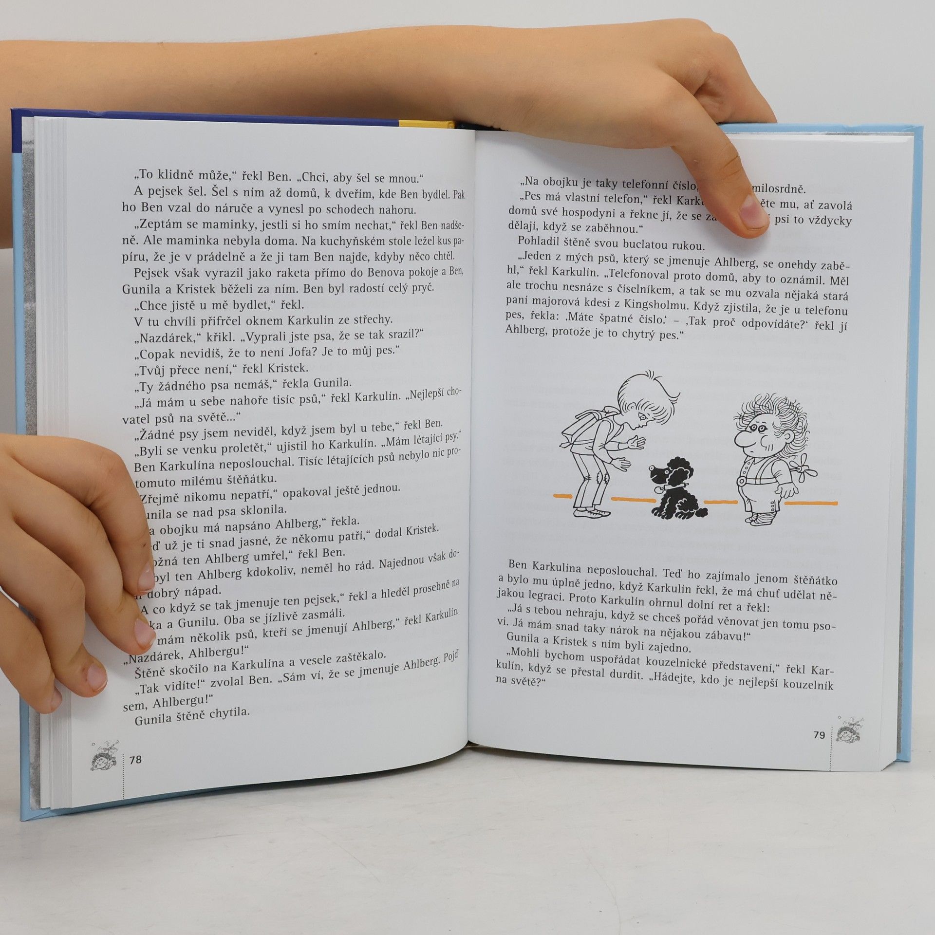 Astrid Lindgren Karkulín ze střechy