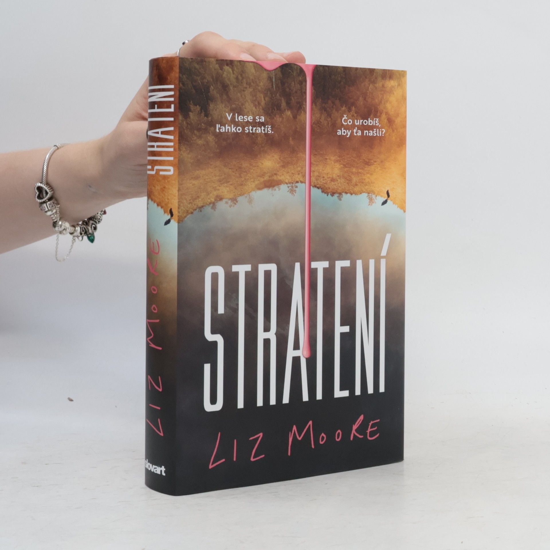 Liz Moore Stratení