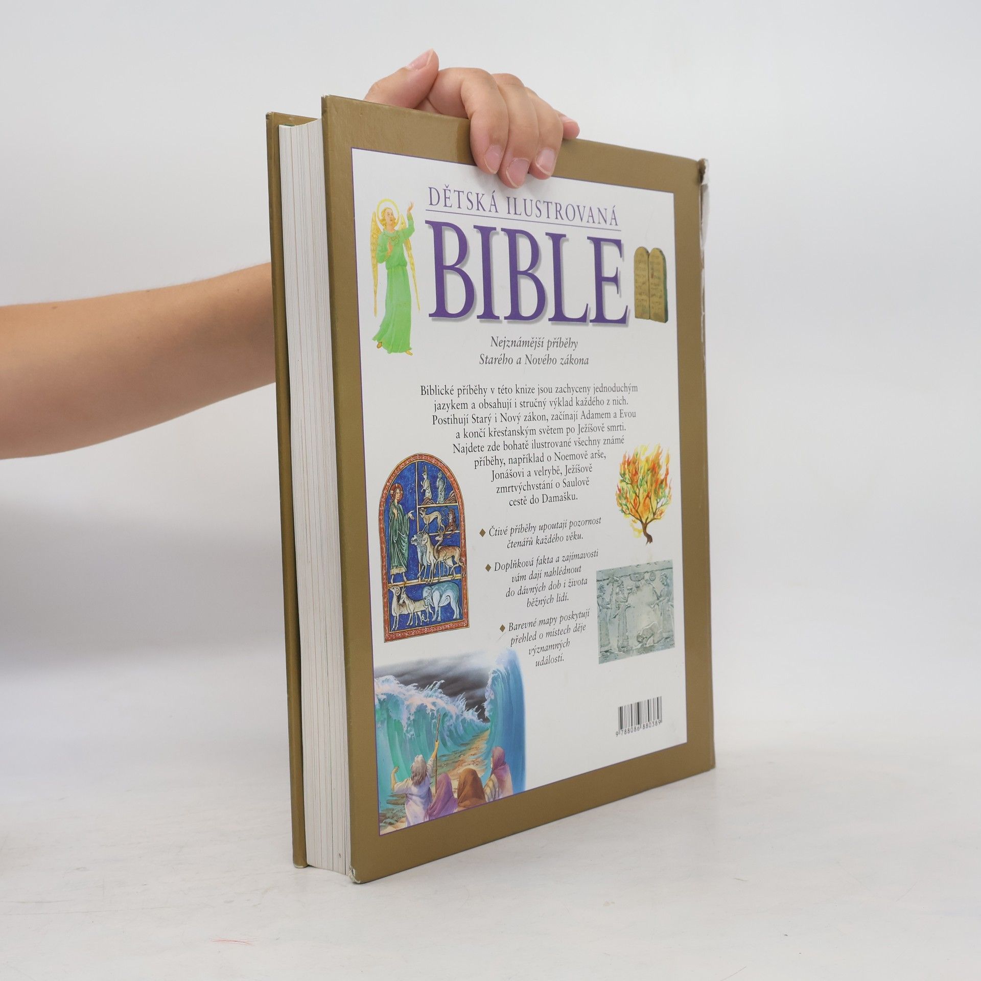Janet Dyson Dětská ilustrovaná Bible