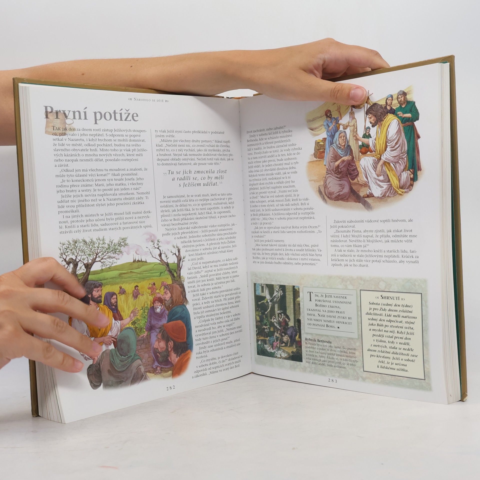 Janet Dyson Dětská ilustrovaná Bible