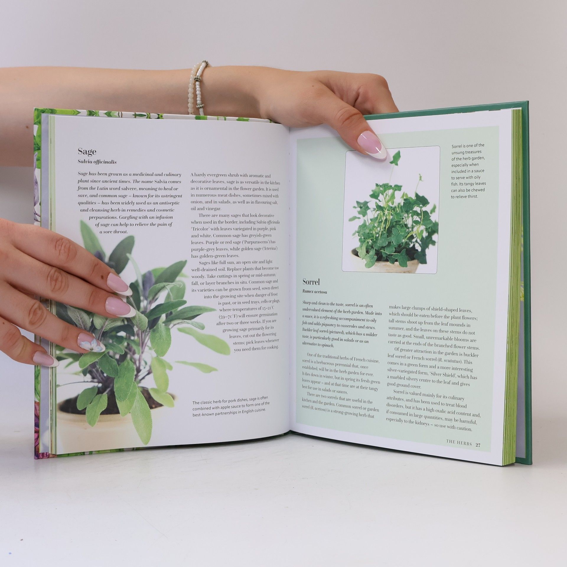 The Herb Kitchen