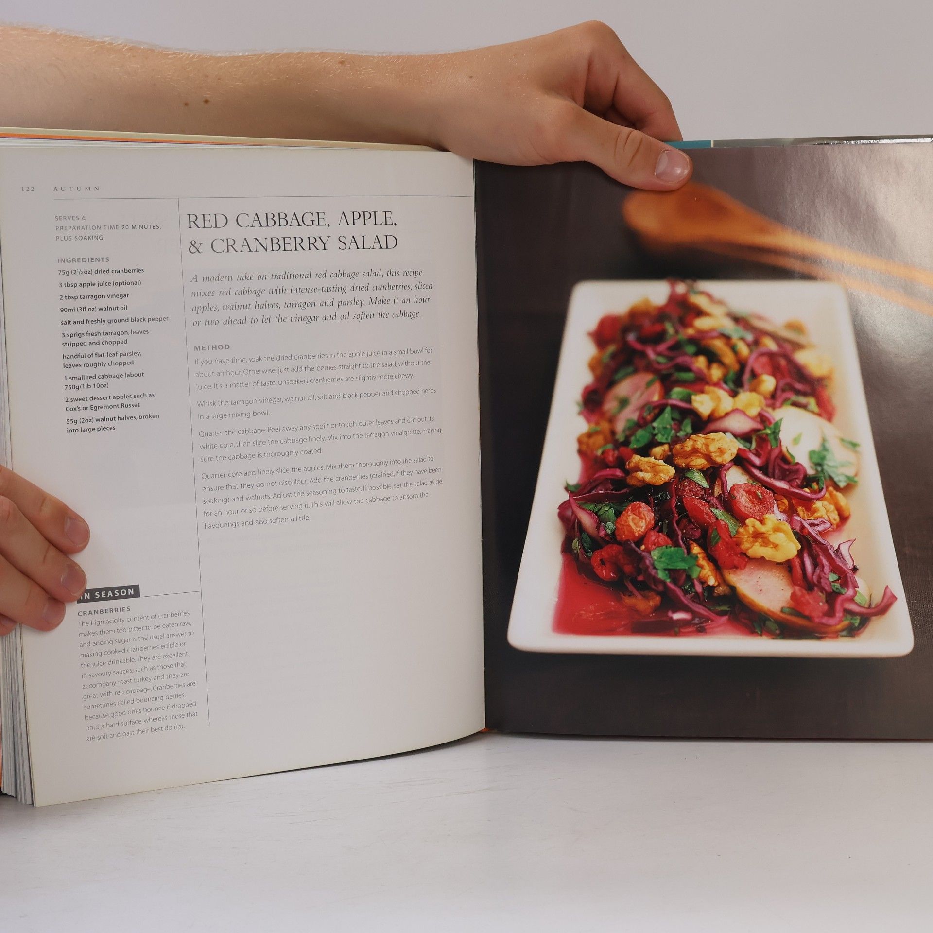 Briony Chappell Food for All Seasons