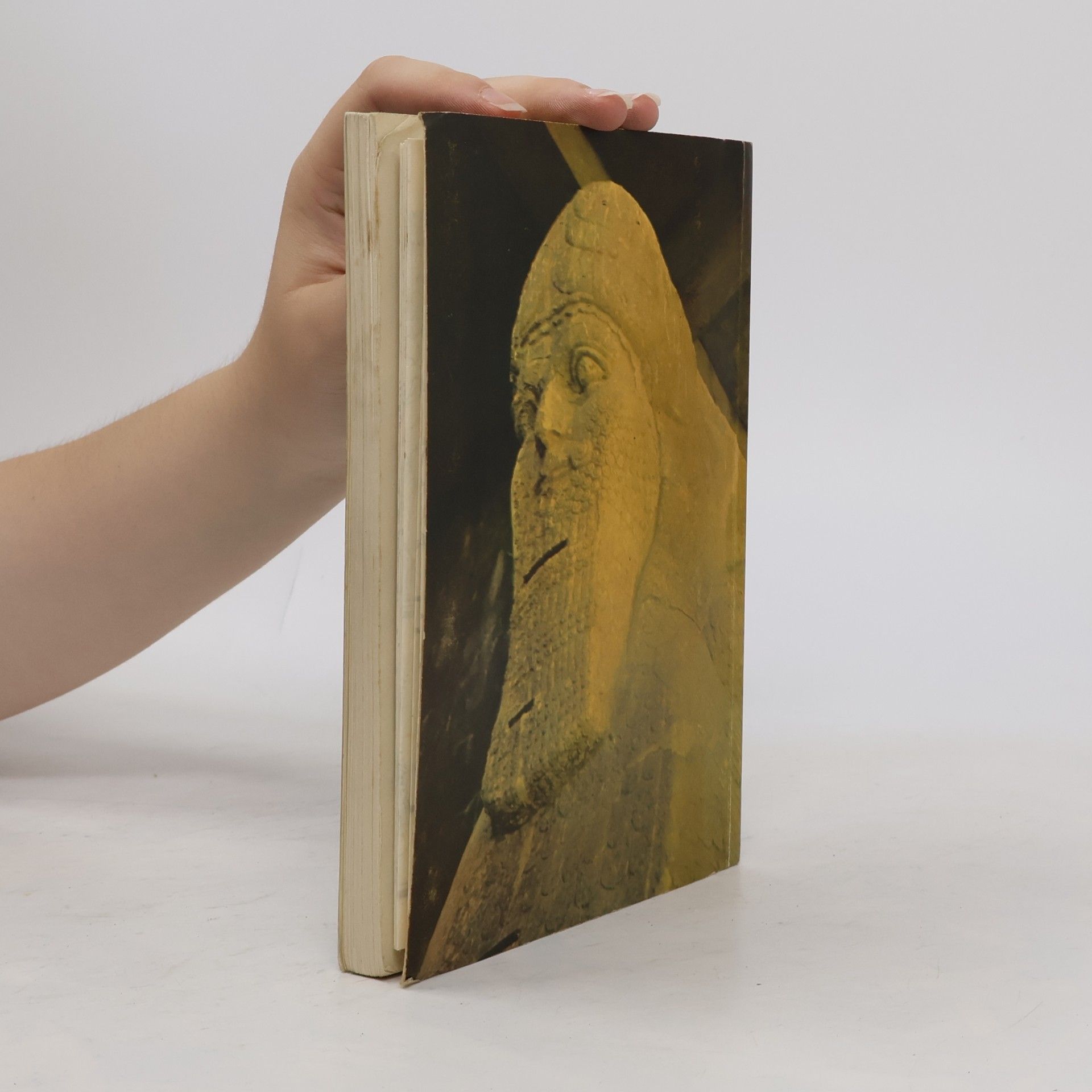 Various authors Iraq. A Tourist Guide
