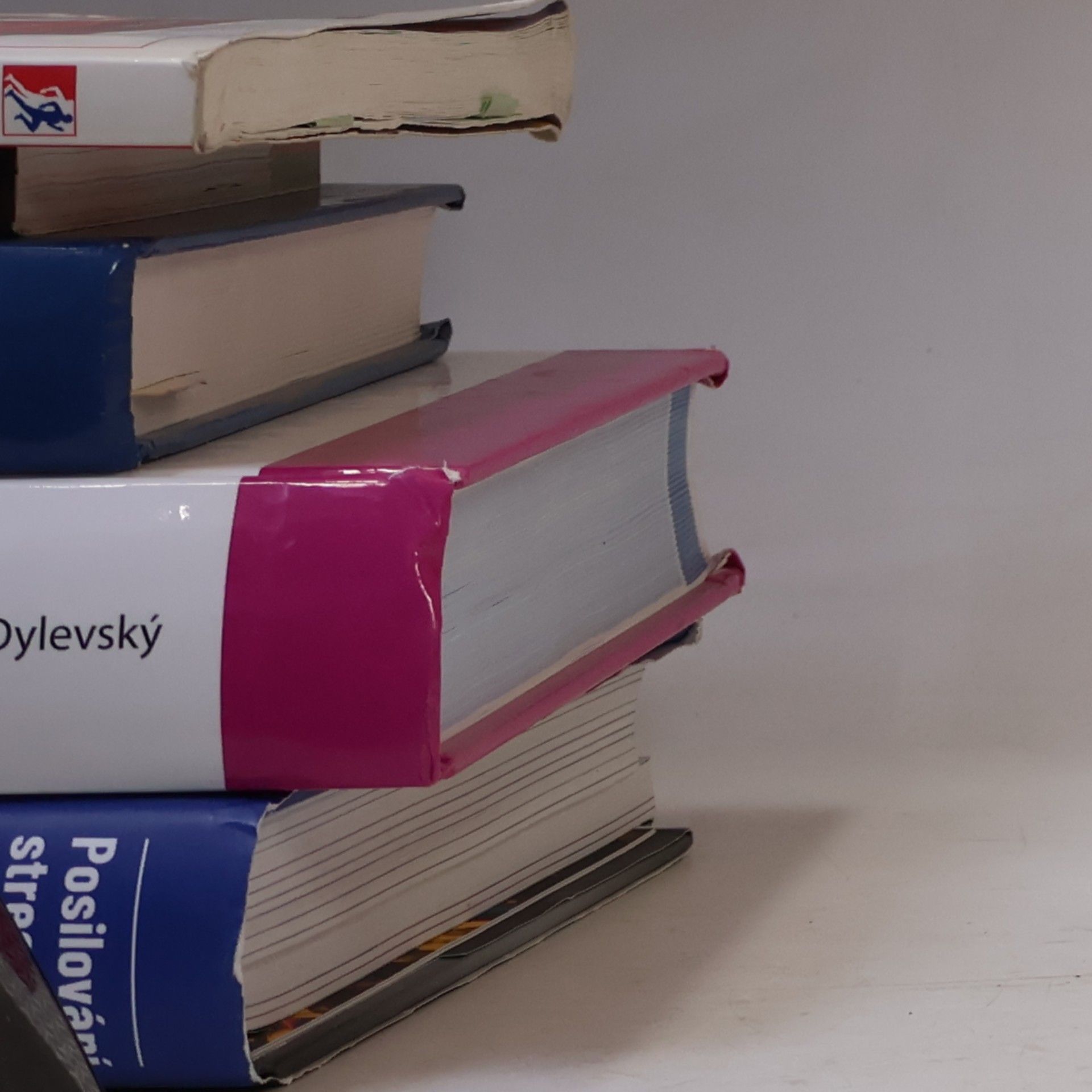 Aleš Sekot Sociologie sportu