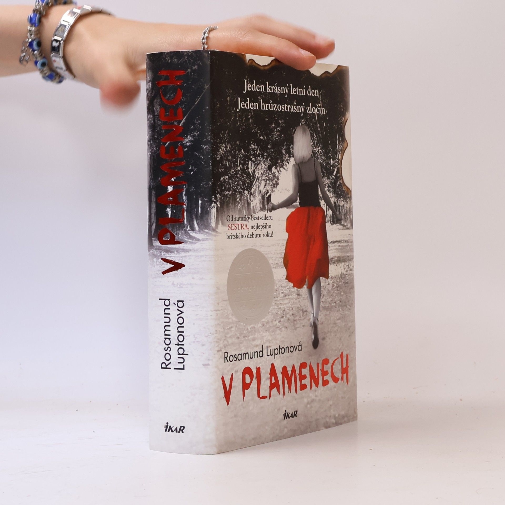 Rosamund Lupton V plamenech
