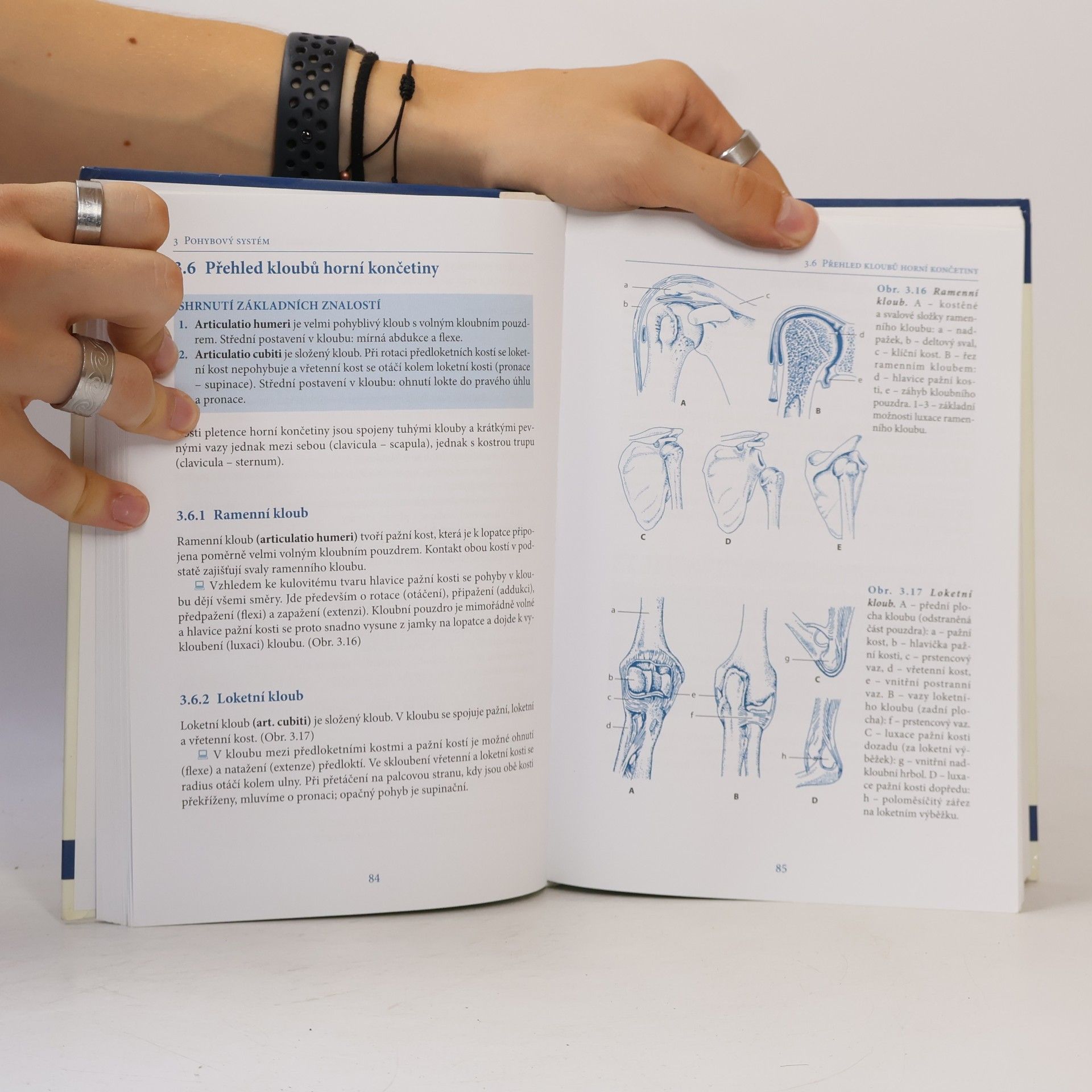 Ivan Dylevský Základy funkční anatomie