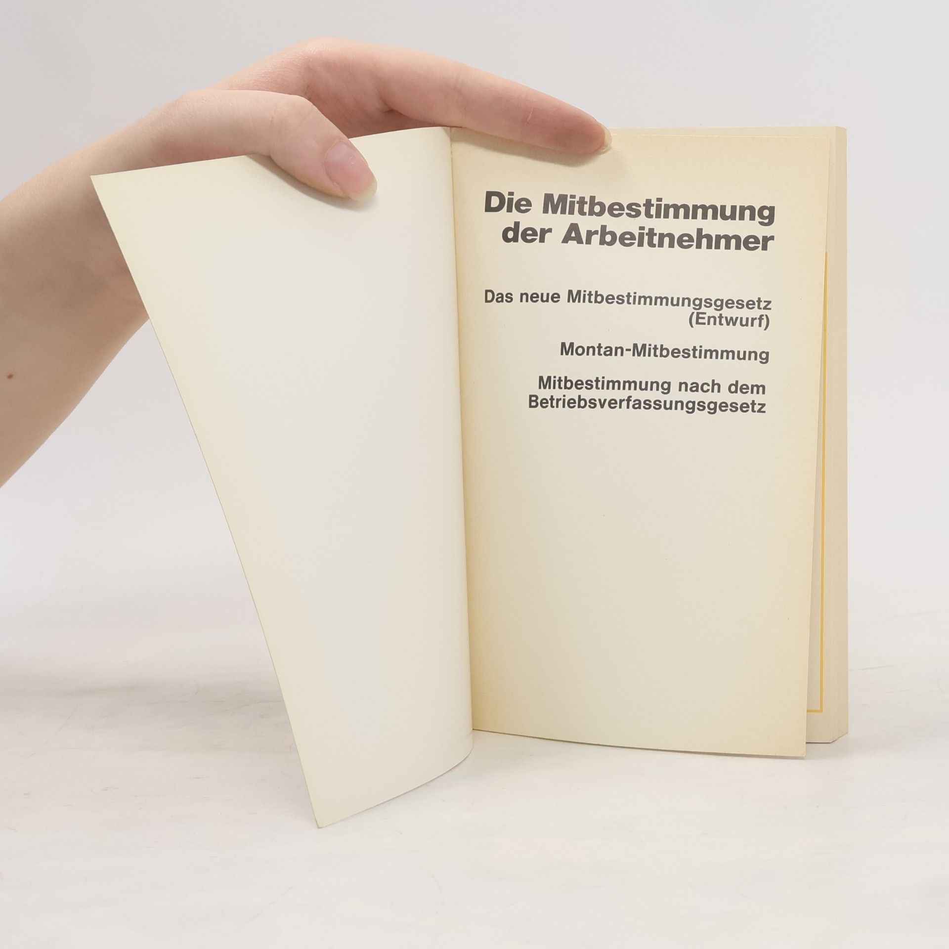 Autorenkollektiv Die Mitbestimmung der Arbeitnehmer