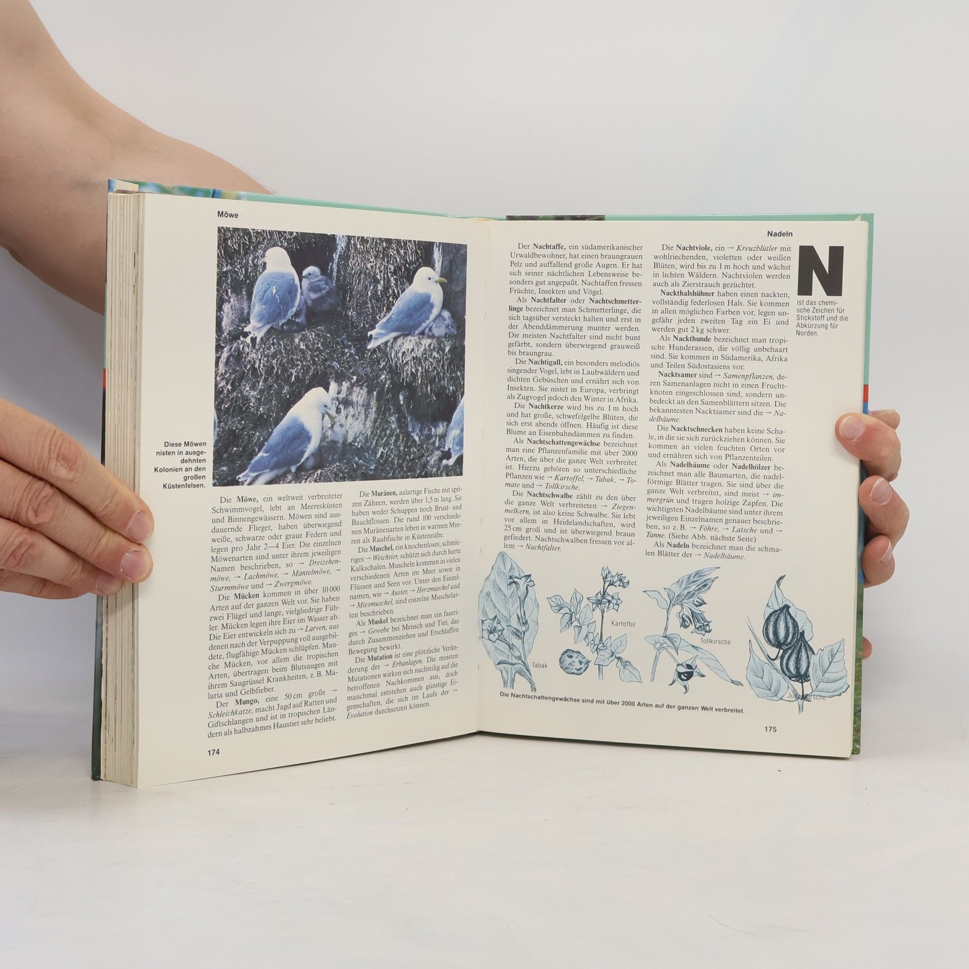 Autores varios Das grosse farbige Jugendlexikon der Natur