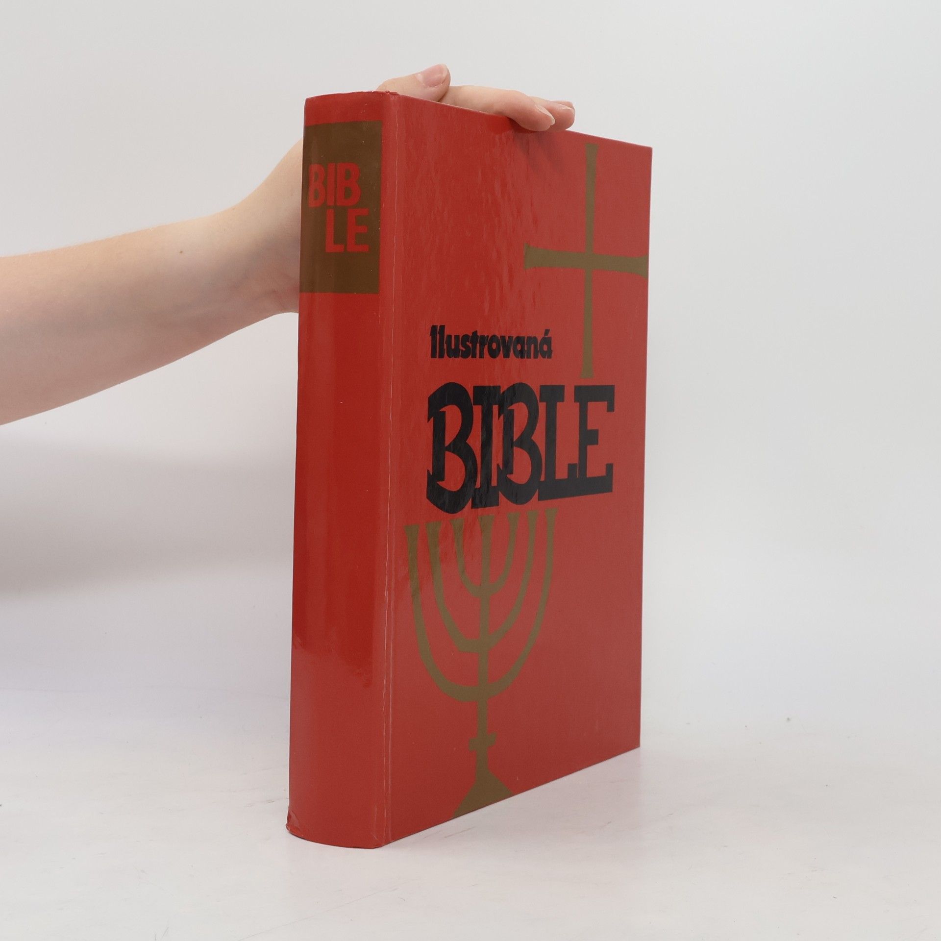 Samuel Terrien Ilustrovaná Bible pro mládež