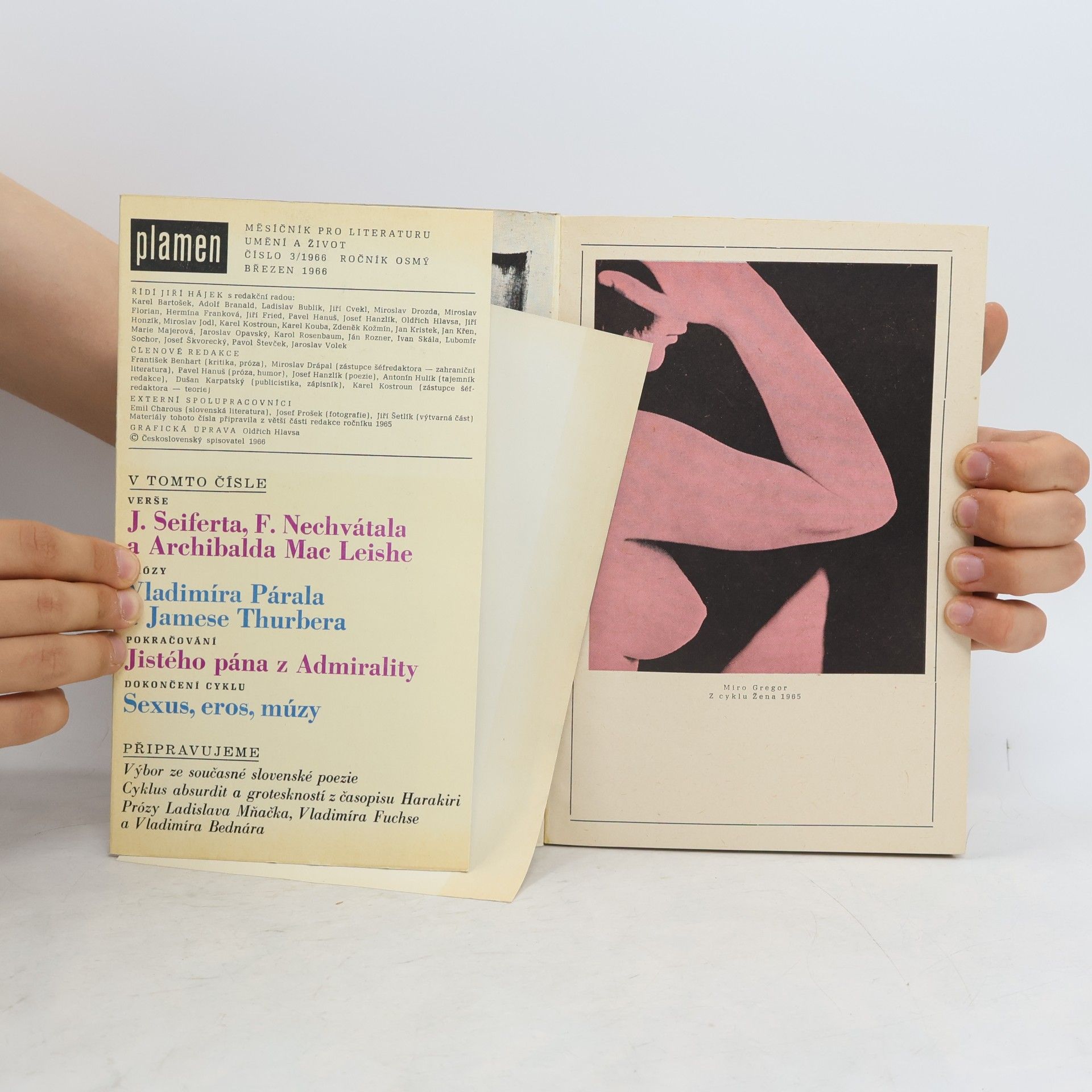 Various authors Plamen 3/66