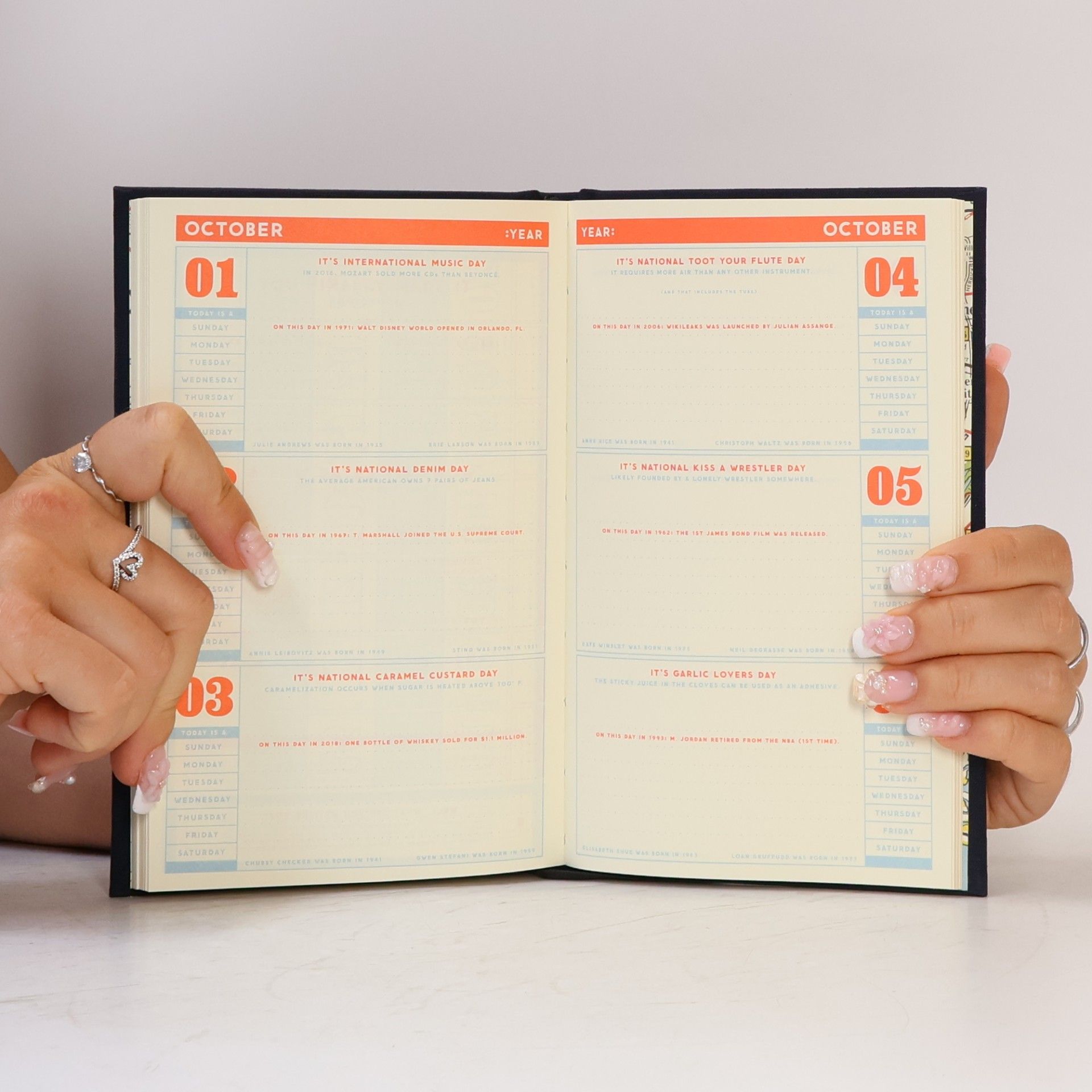 Collectif d'auteurs Daily Planner: Hidden Agenda (Undated)