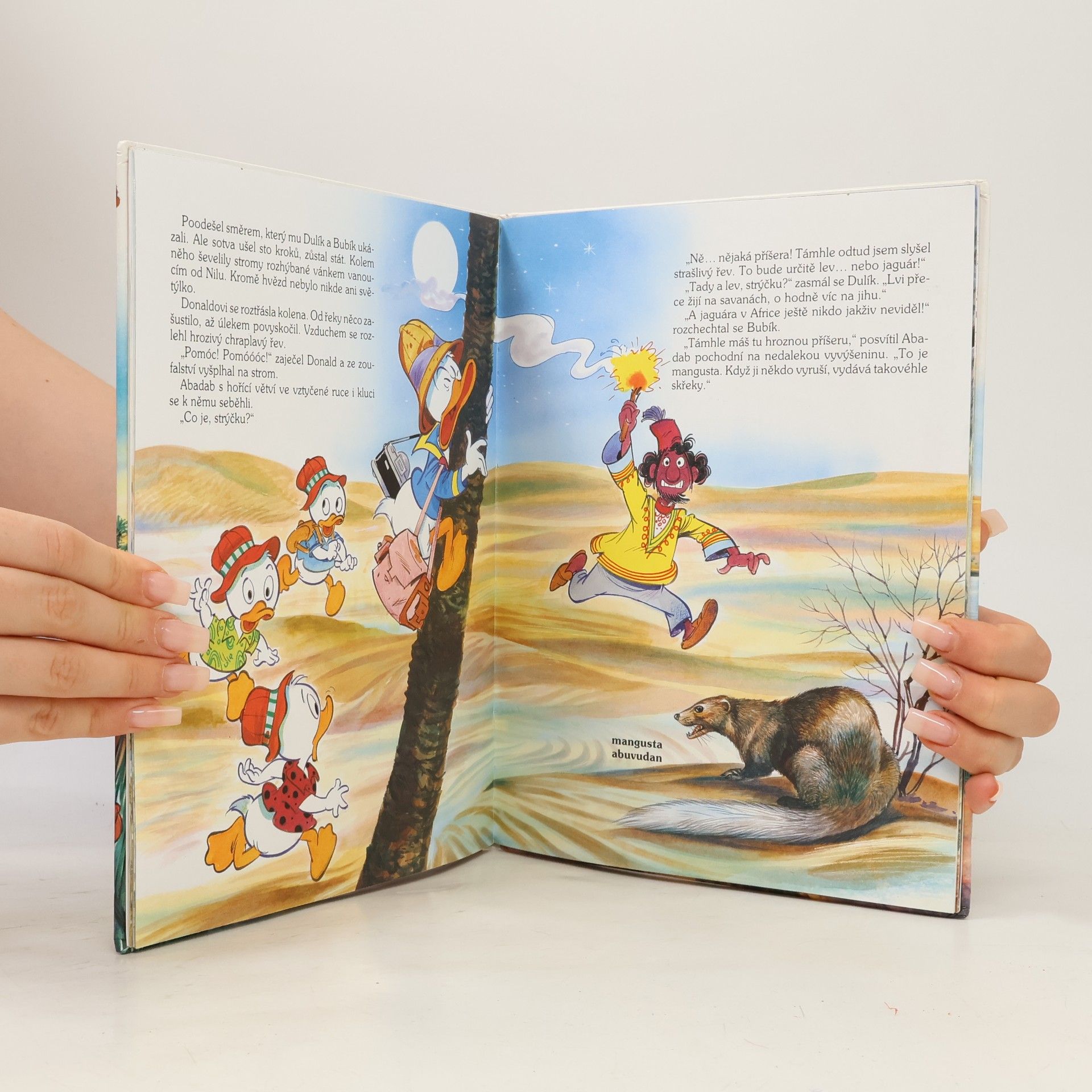 Walt Disney Nástrahy na březích Nilu
