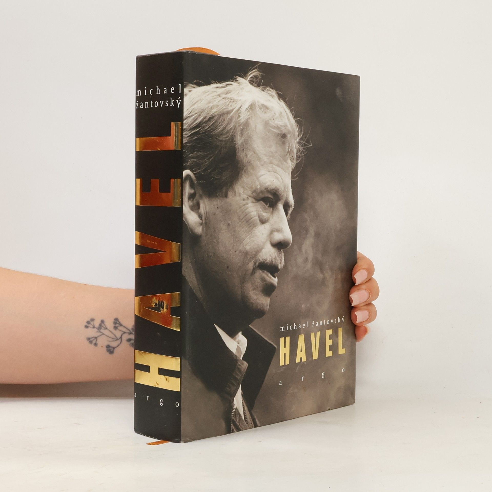 Michael Žantovský Havel