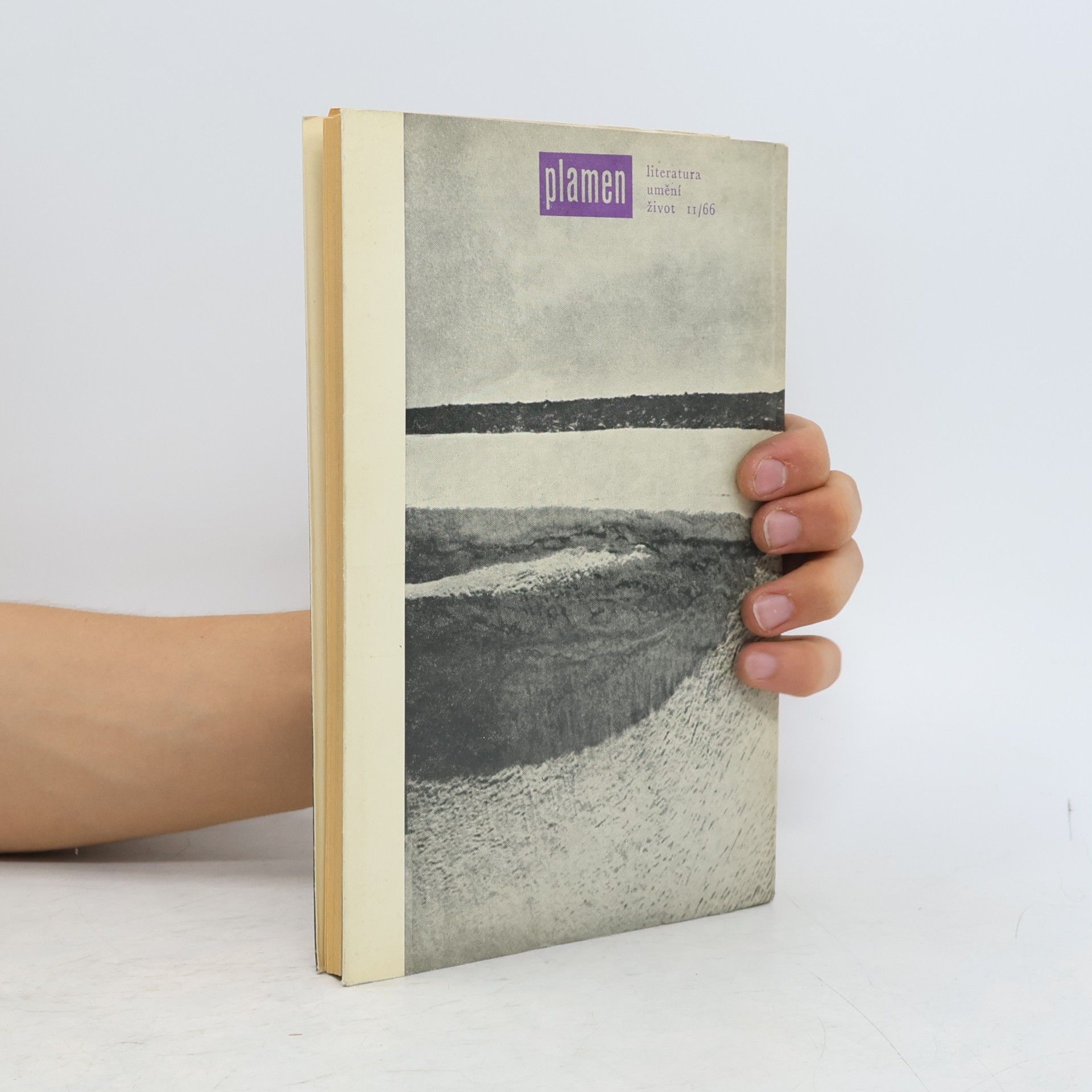 Various authors Plamen 11/66