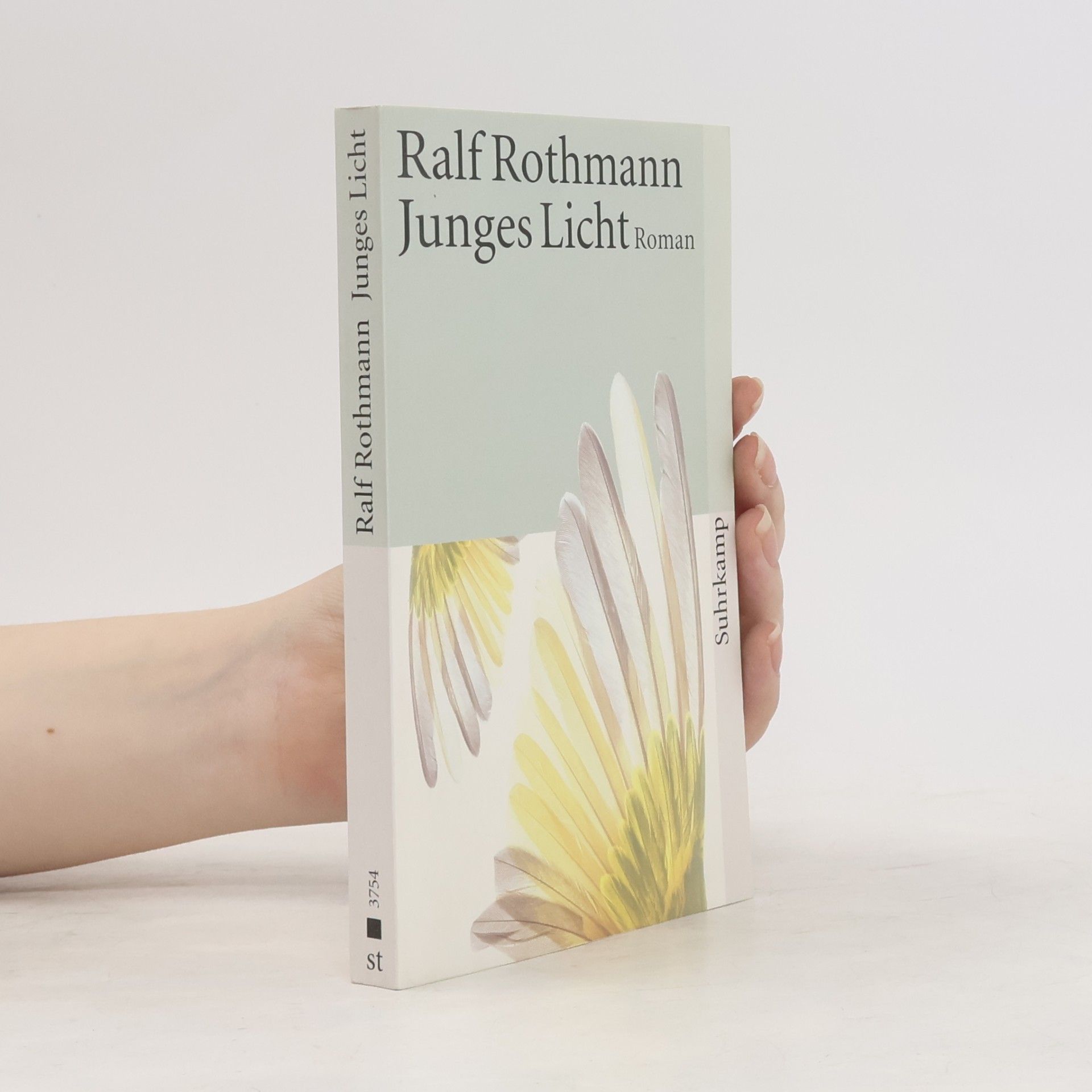 Ralf Rothmann Junges Licht