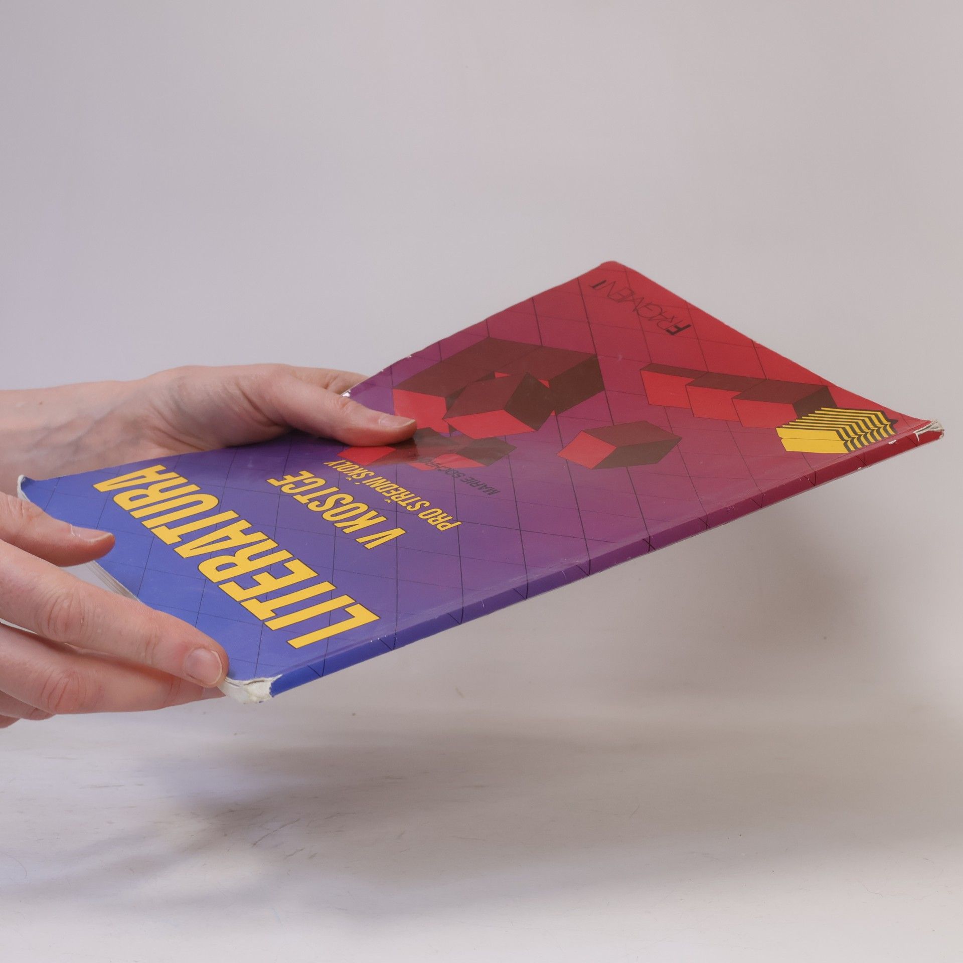 Marie Sochrová Literatura v kostce pro střední školy