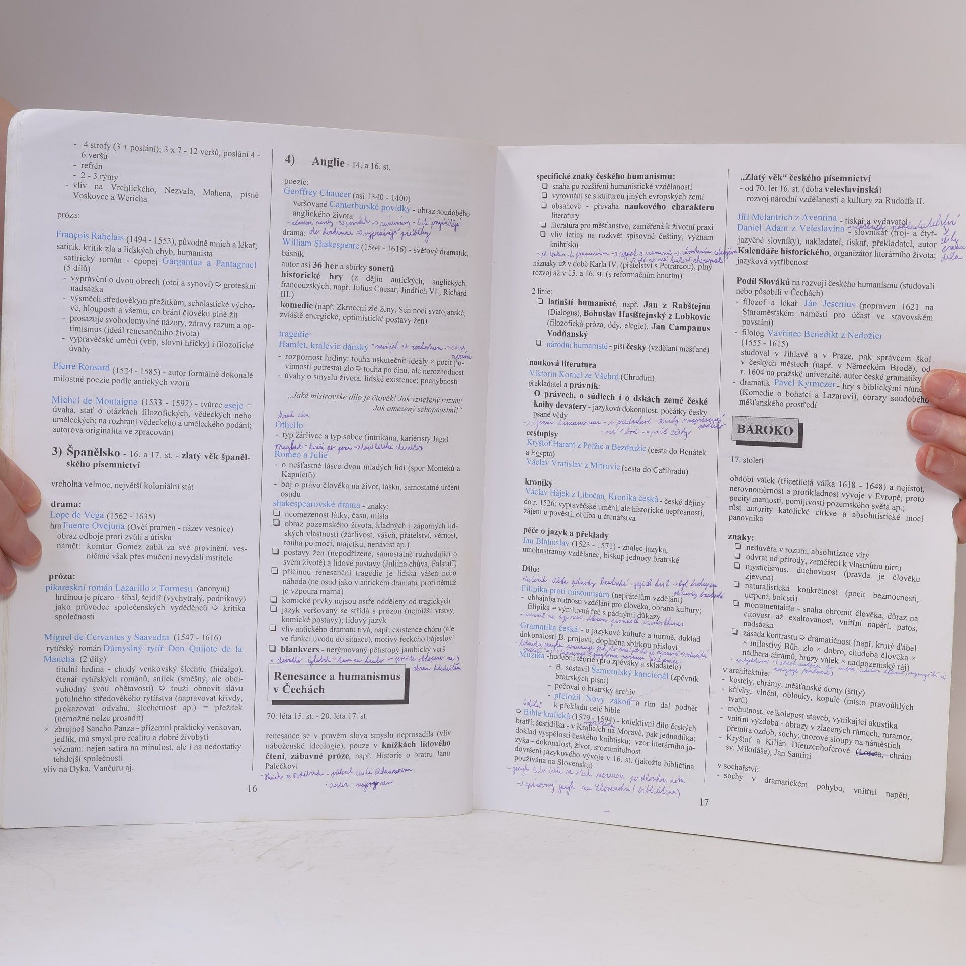 Marie Sochrová Literatura v kostce pro střední školy