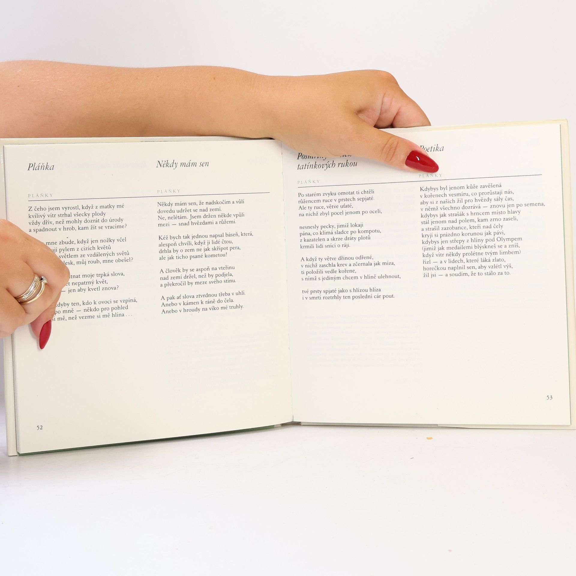 Oldřich Vyhlídal A neopouštěj nás. Výbor z poezie