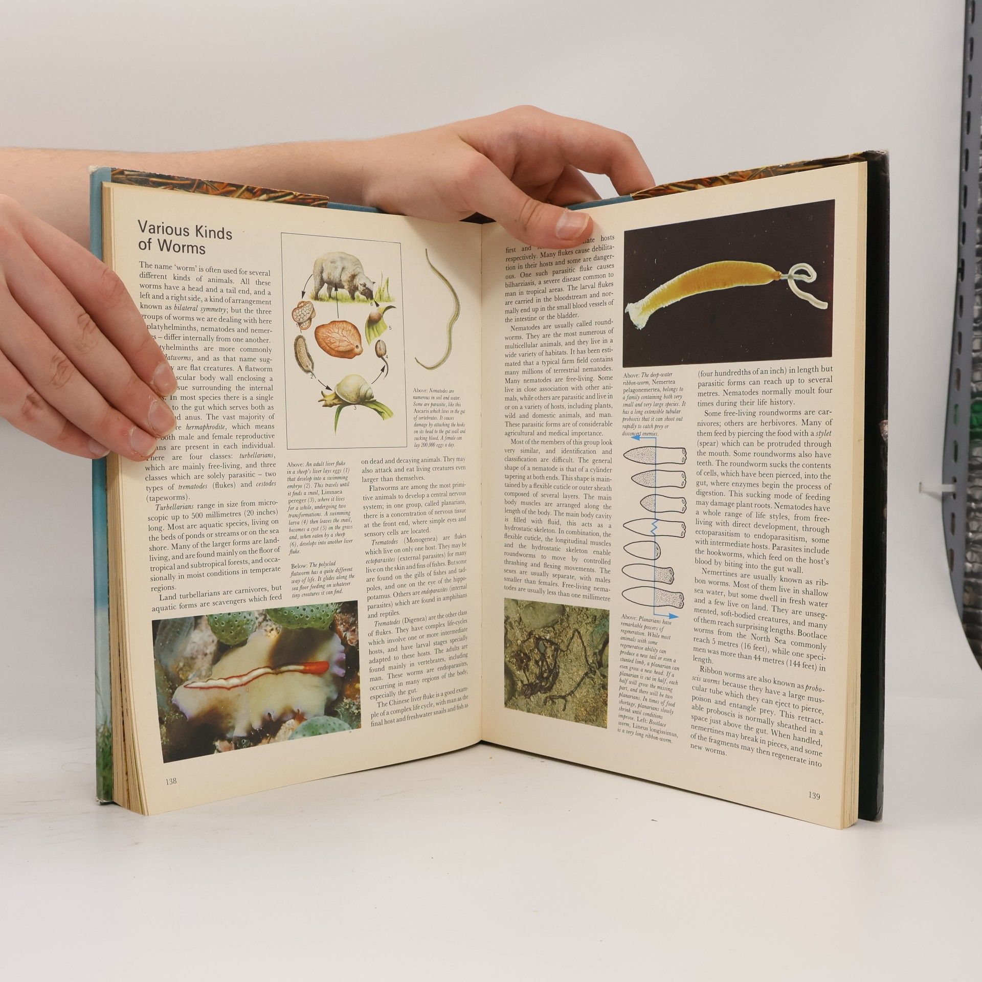 Gerald Durrell Children's Nature Encyclopedia