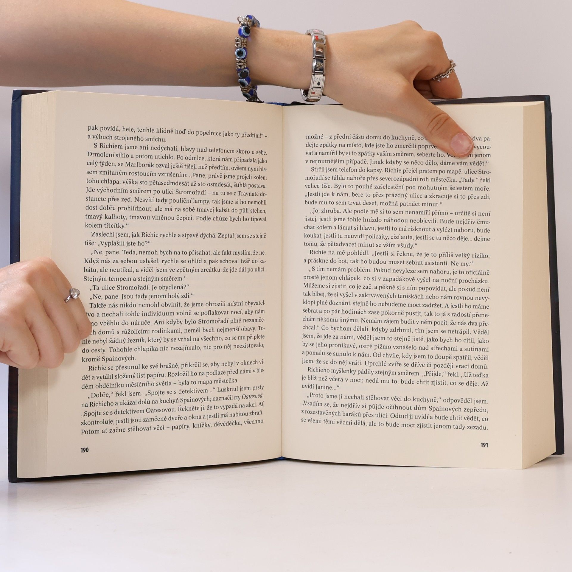 Tana French Ztracený přístav
