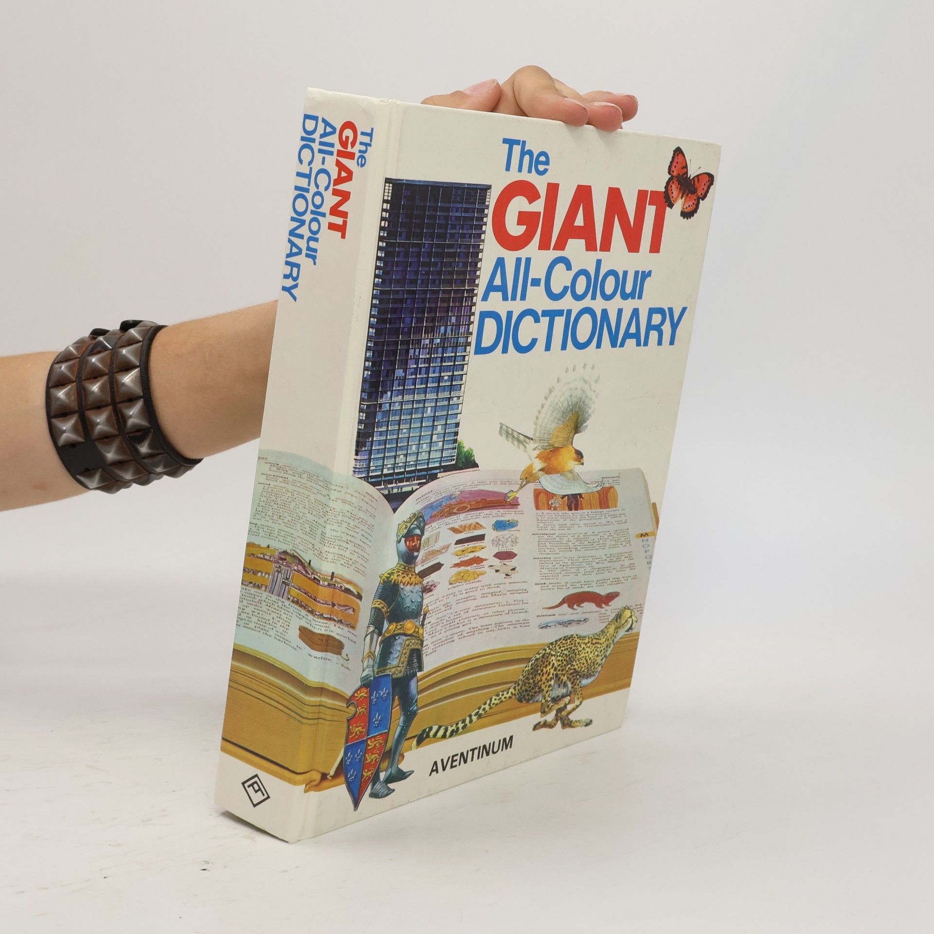 Stuart A. Courtis The Giant All-Colour Dictionary