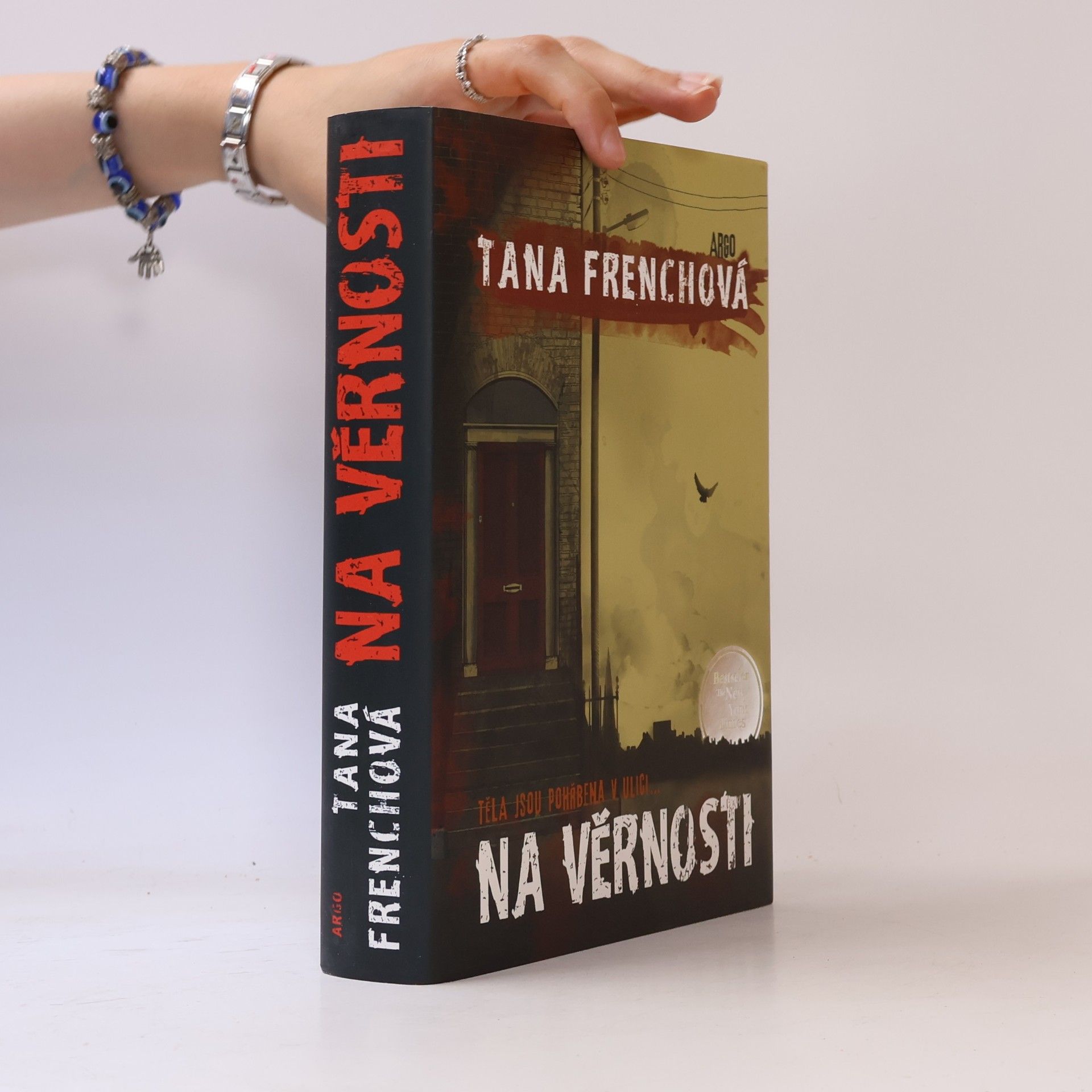 Tana French Na Věrnosti