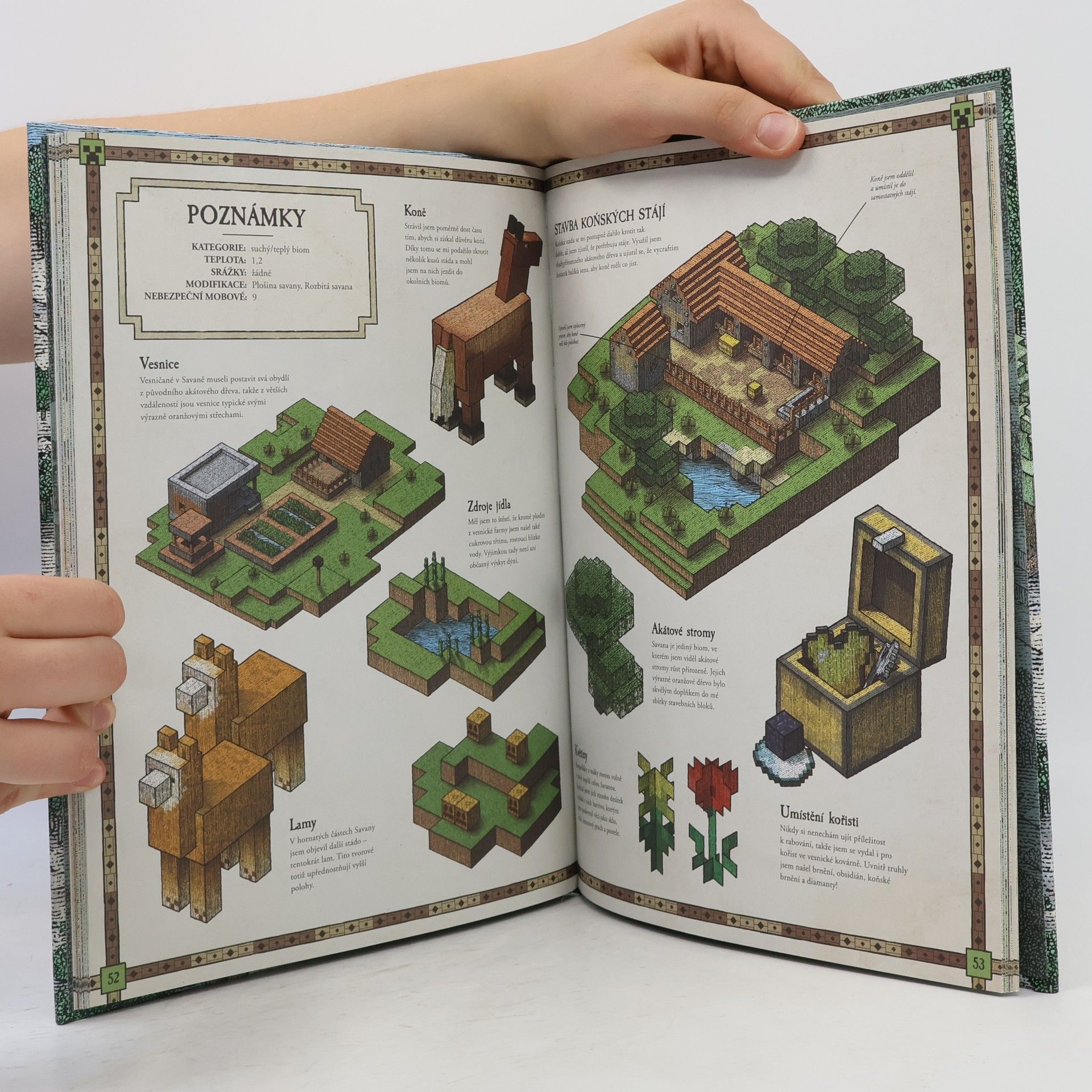 Stephanie Milton Minecraft atlas