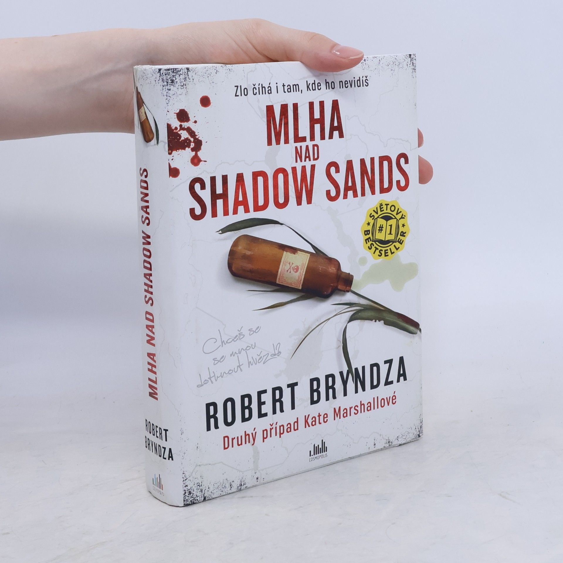 Robert Bryndza Mlha nad Shadow Sands