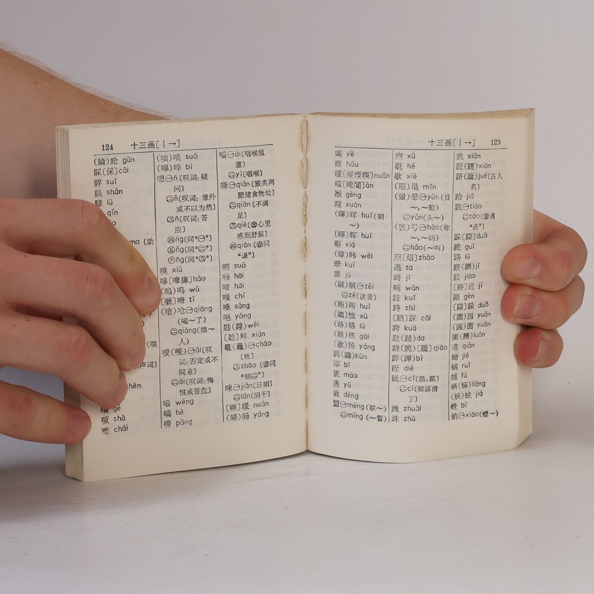 Autores varios 漢字拼音檢字(增訂本)
